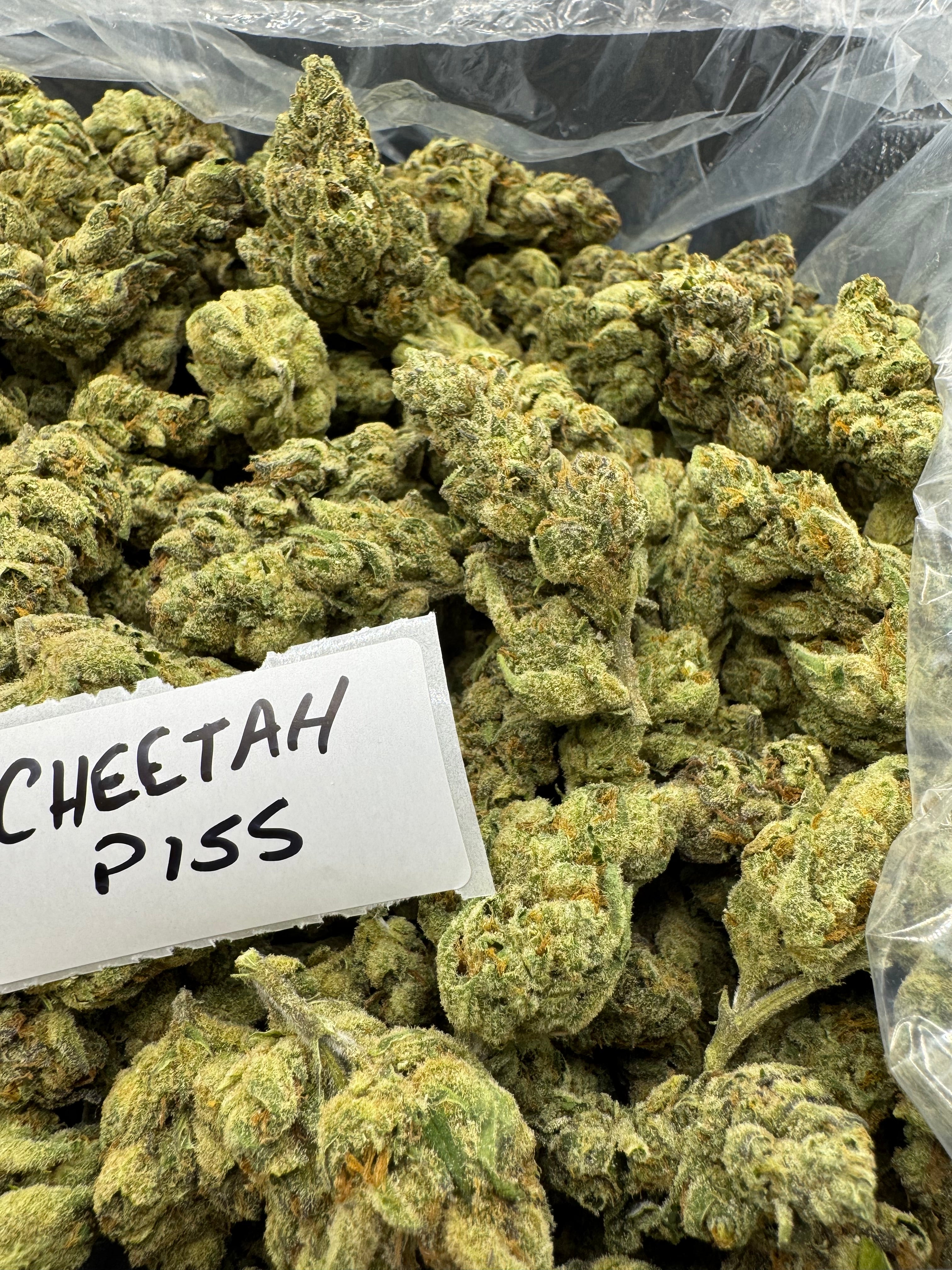 J Litty’s Weekly Deals!
