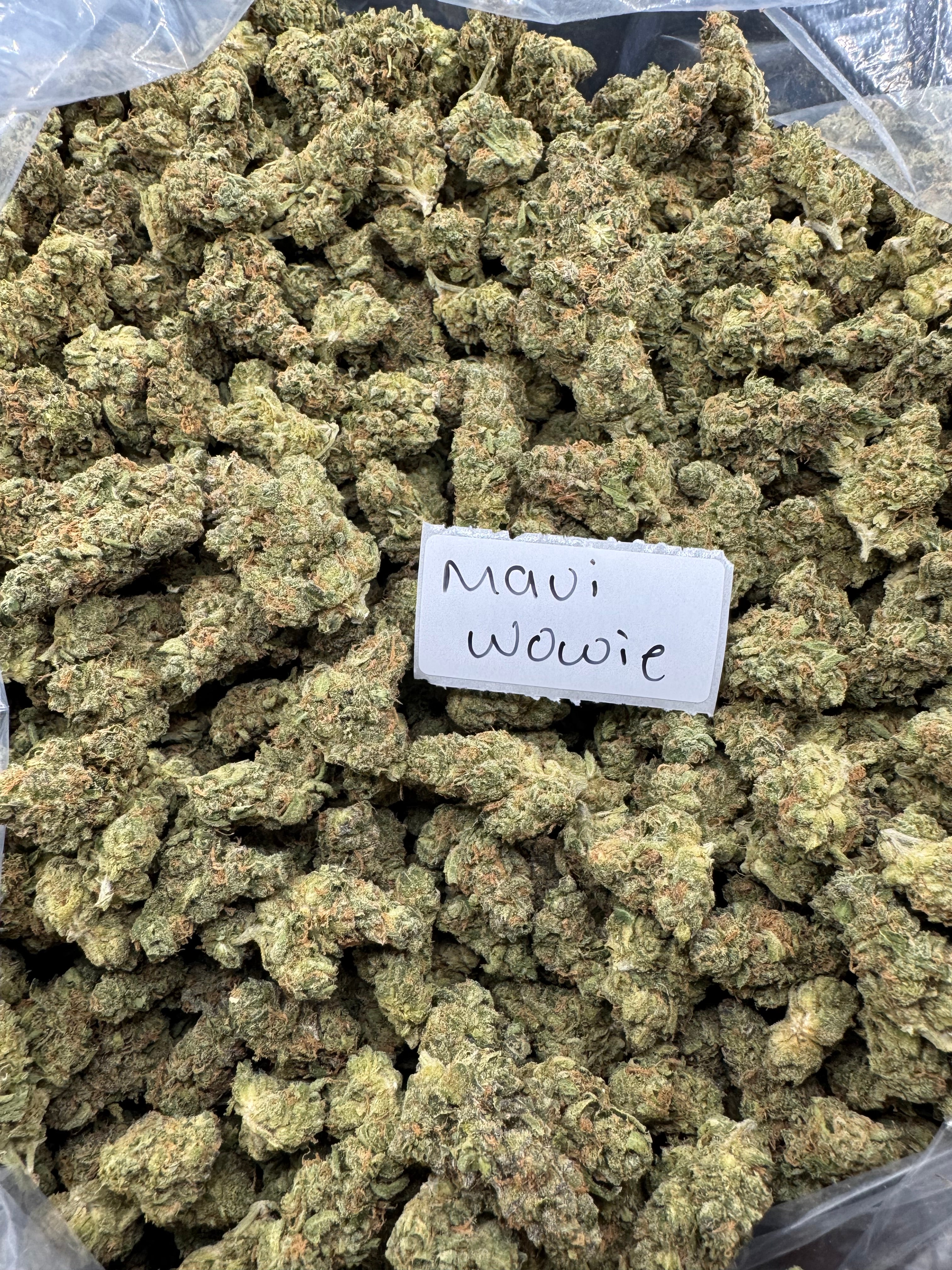 LAST CHANCE SUPER SALE FLOWERS!!!
