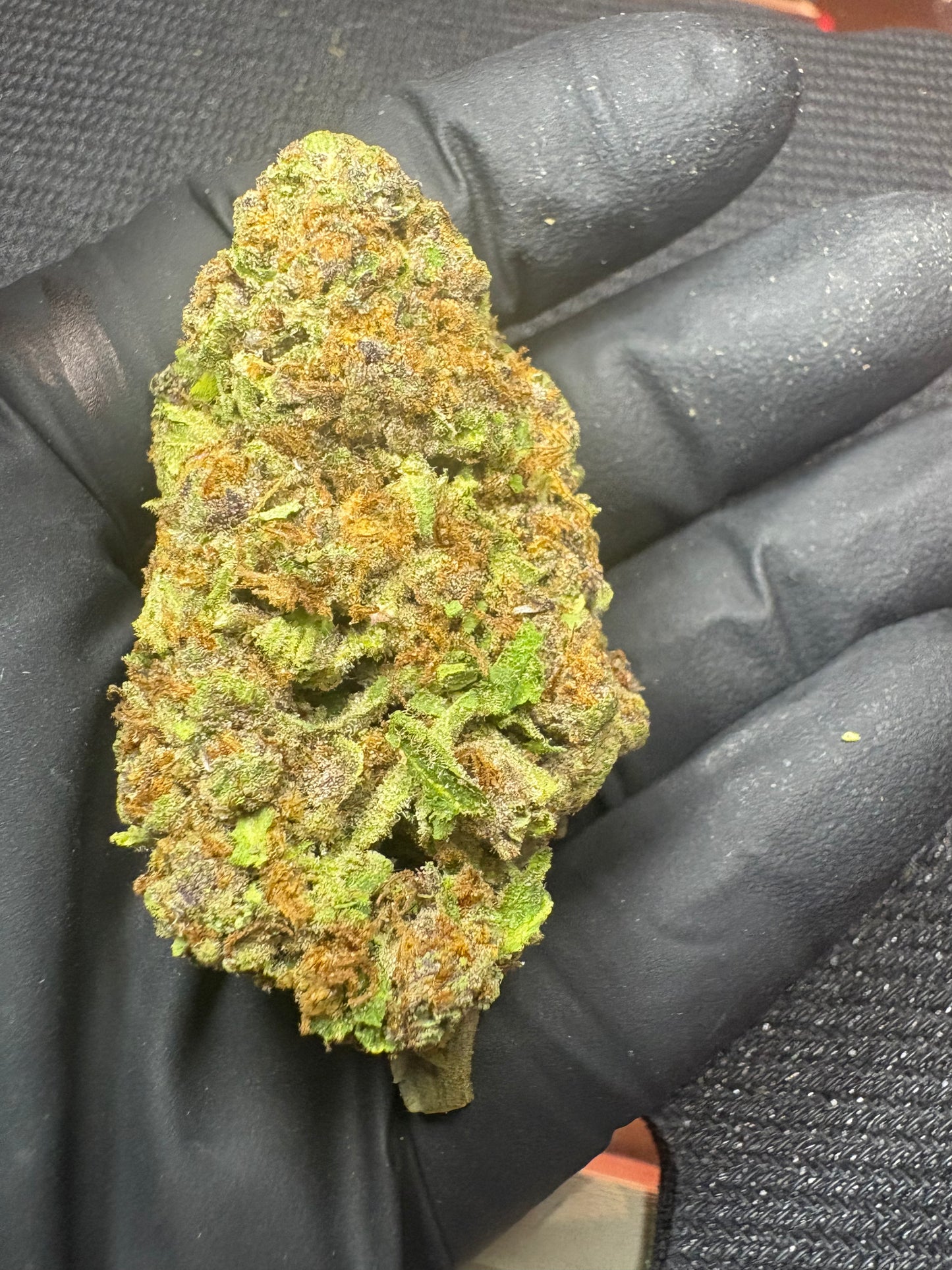PREMIUM+ - Grape Jelly Donut