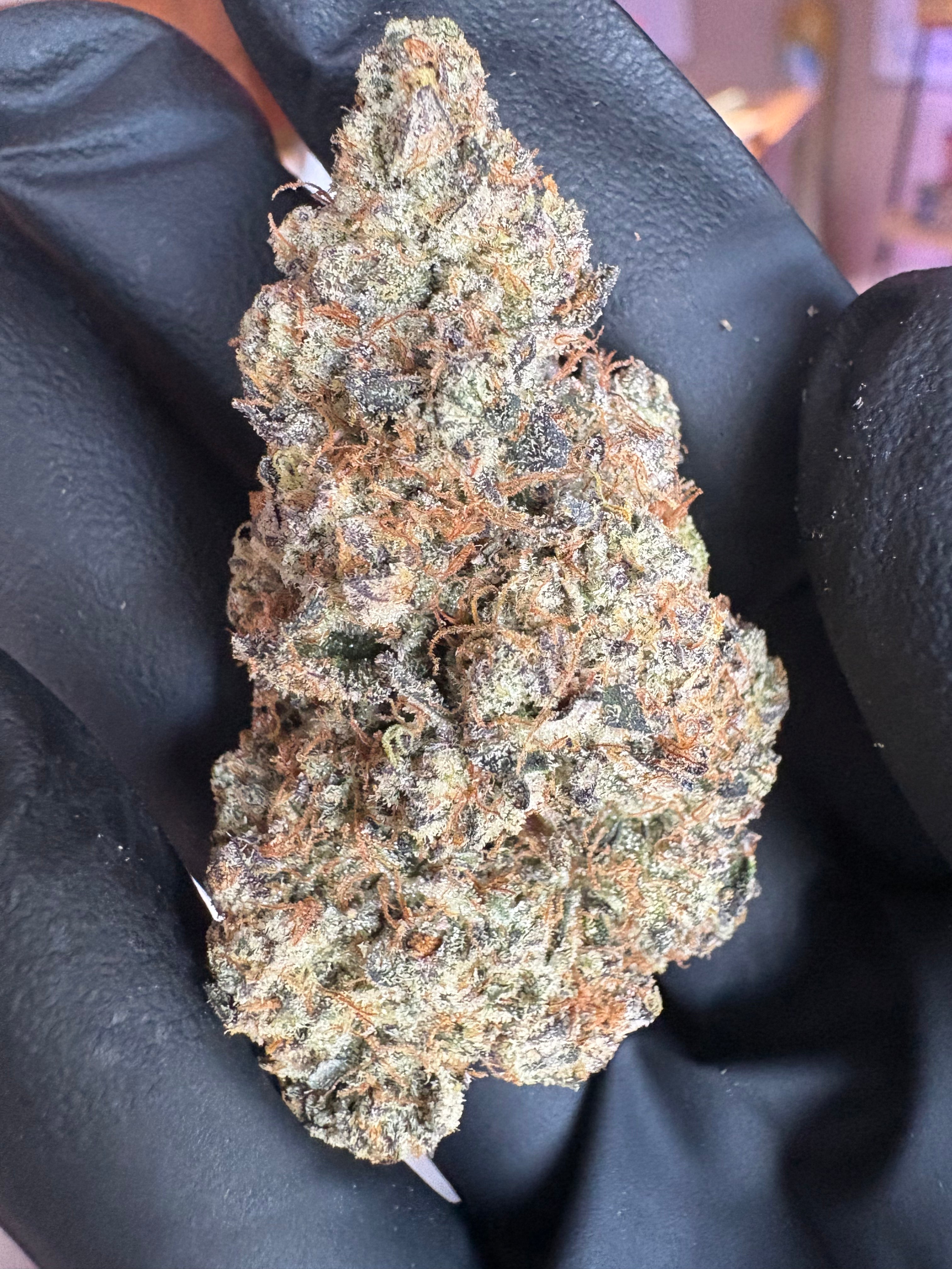 TOP SHELF EXOTICS