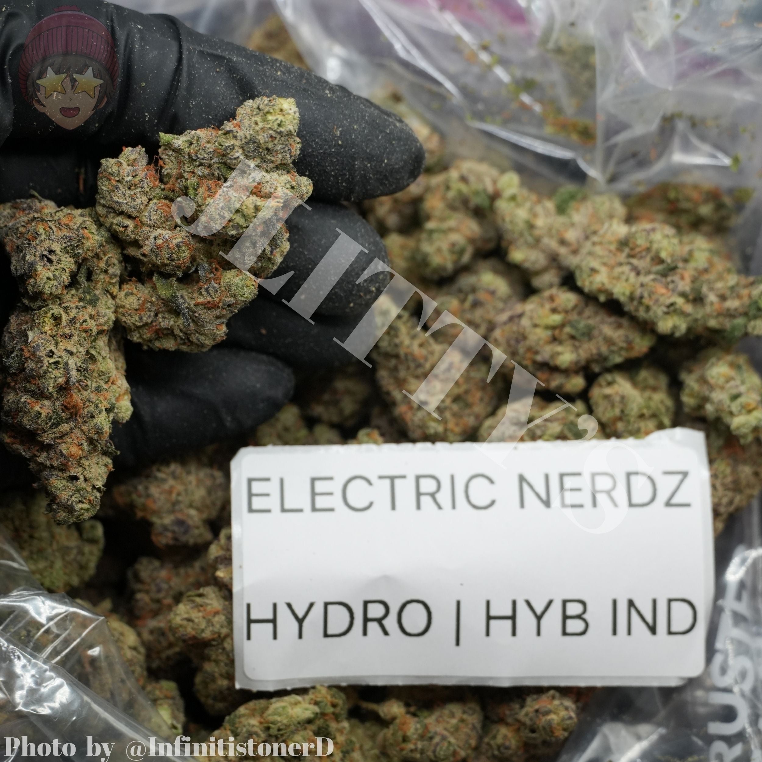 TOP SHELF EXOTICS