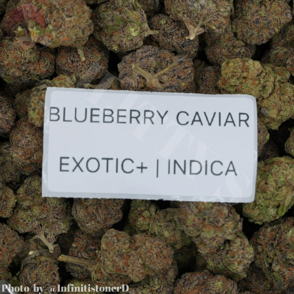 TOP SHELF EXOTICS