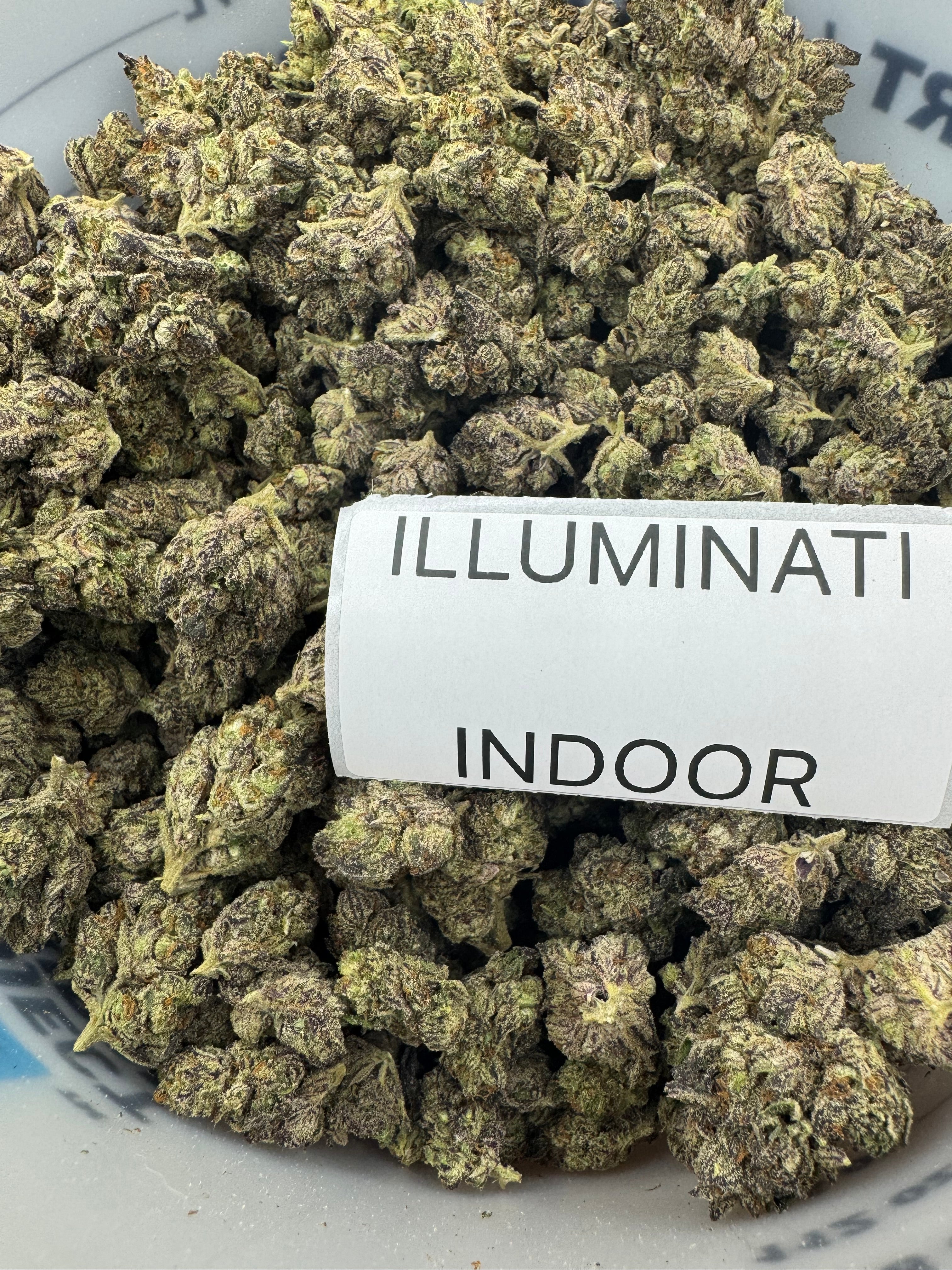 J Litty’s LABOR DAY Indoor Flower Deals!