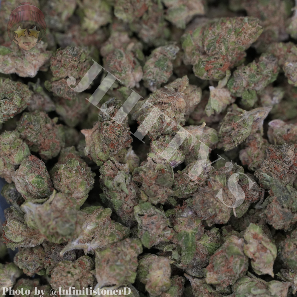 PREORDER PREMIUM SMALLS HPs & Ps