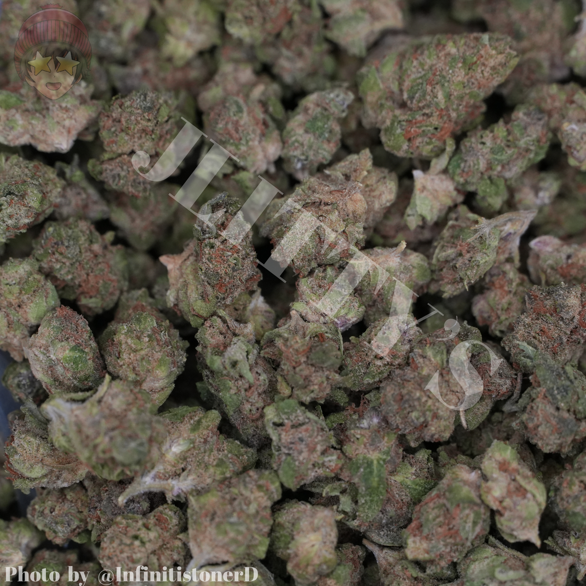 PREORDER PREMIUM SMALLS HPs & Ps