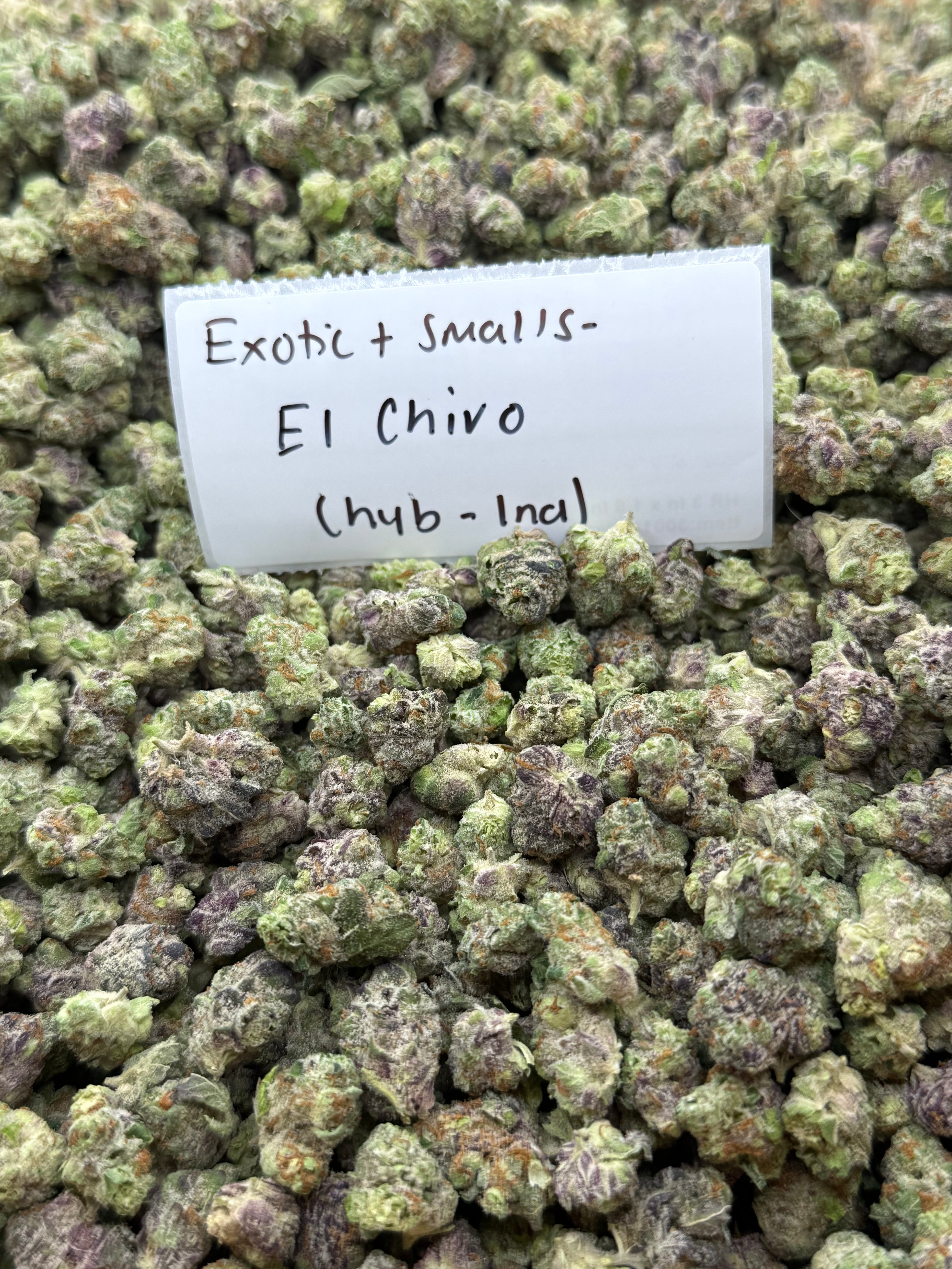 *SALE* SMALLS AND MEDIUMS (NO CODE NEEDED)