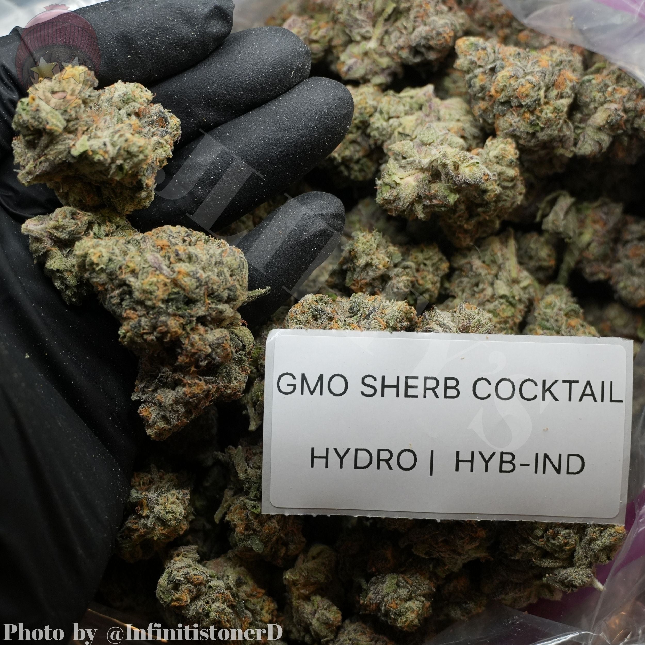 TOP SHELF EXOTICS