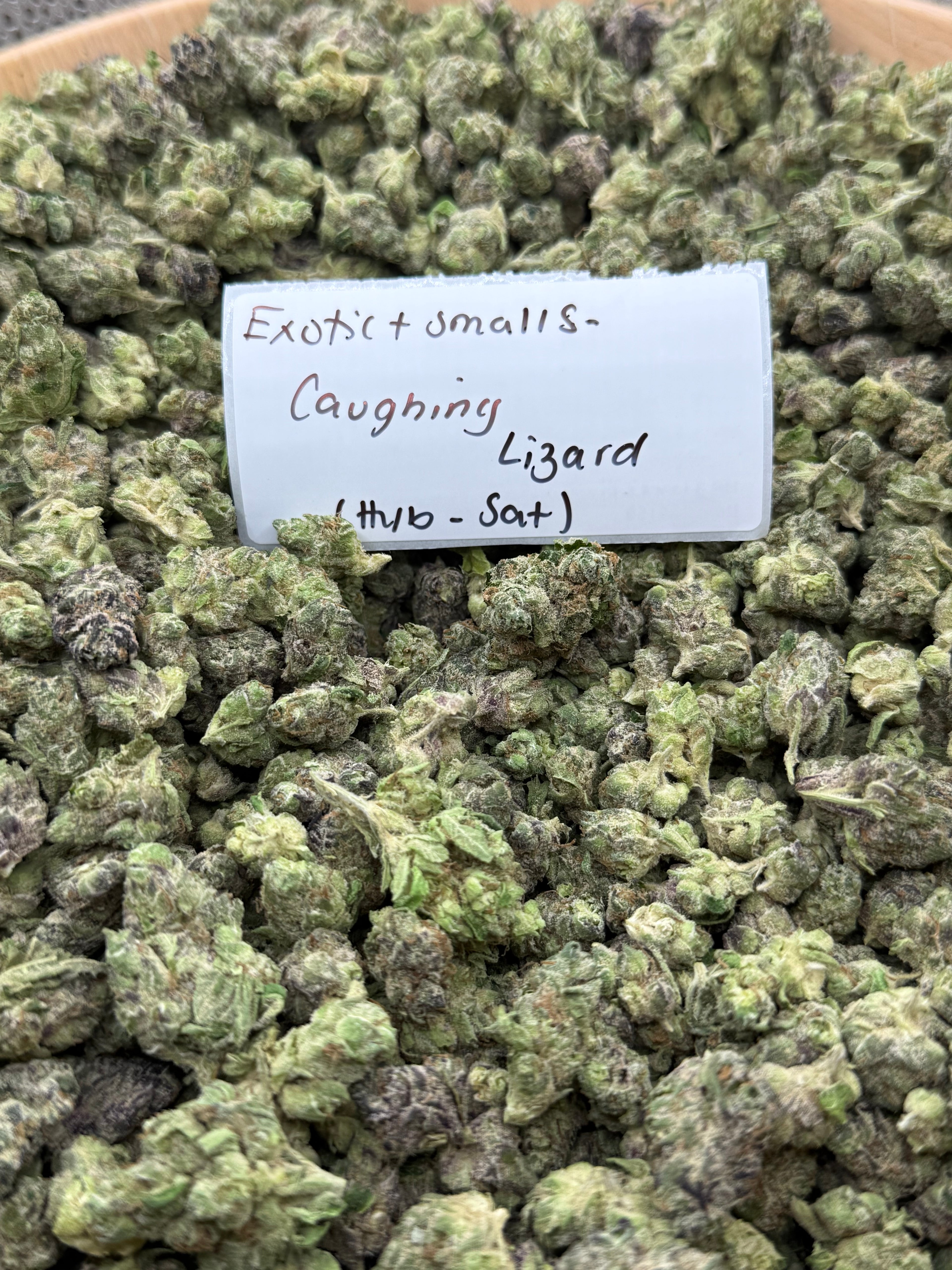 *SALE* SMALLS AND MEDIUMS (NO CODE NEEDED)