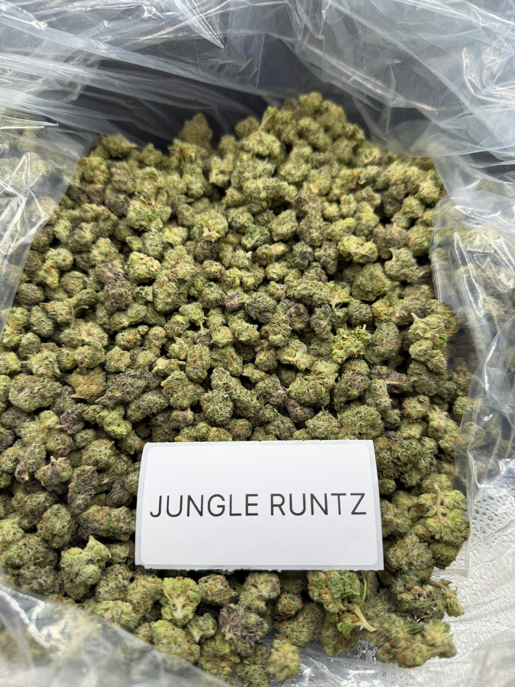 *SALE* SMALLS AND MEDIUMS