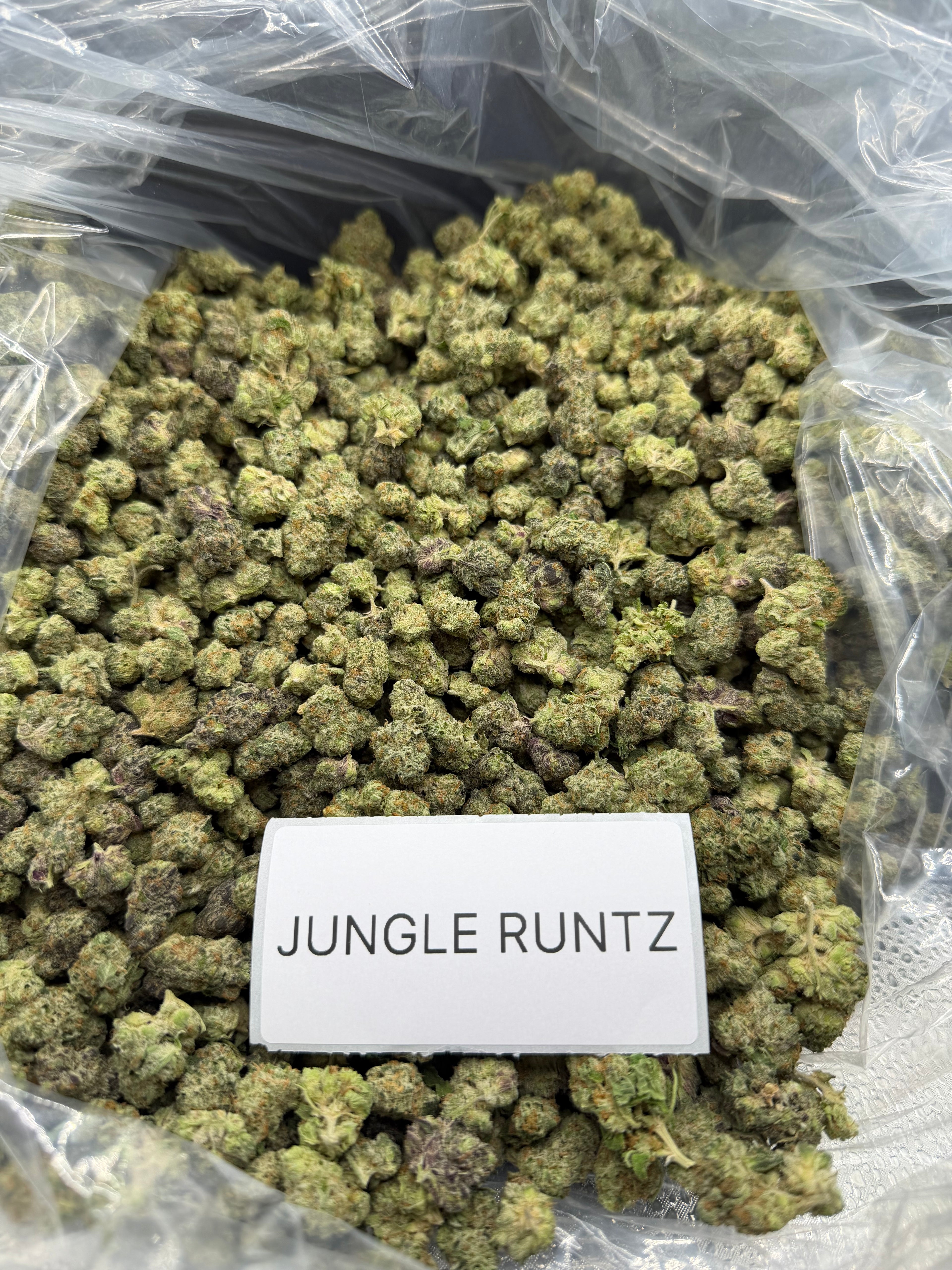 *SALE* SMALLS AND MEDIUMS