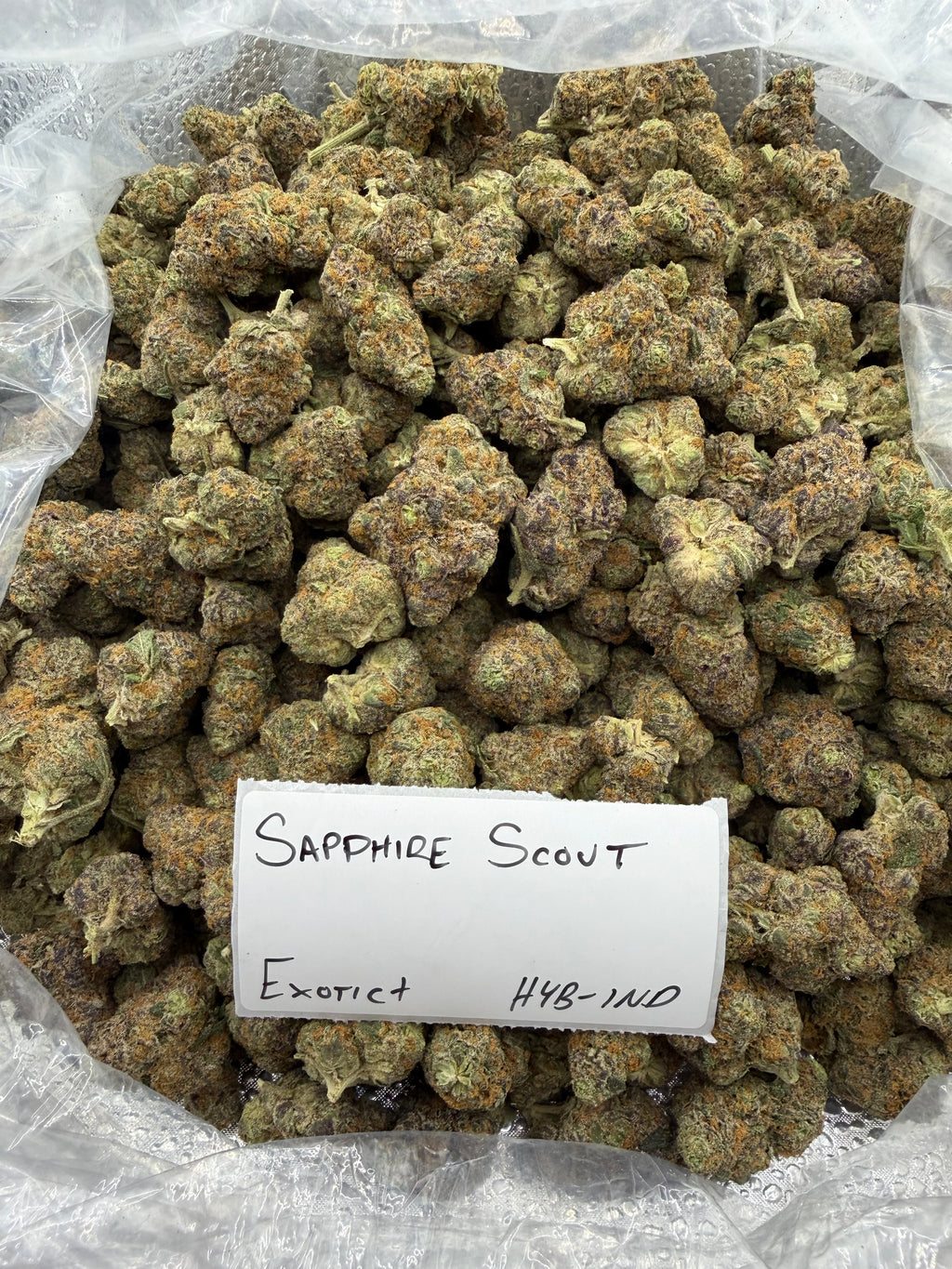 TOP SHELF EXOTICS