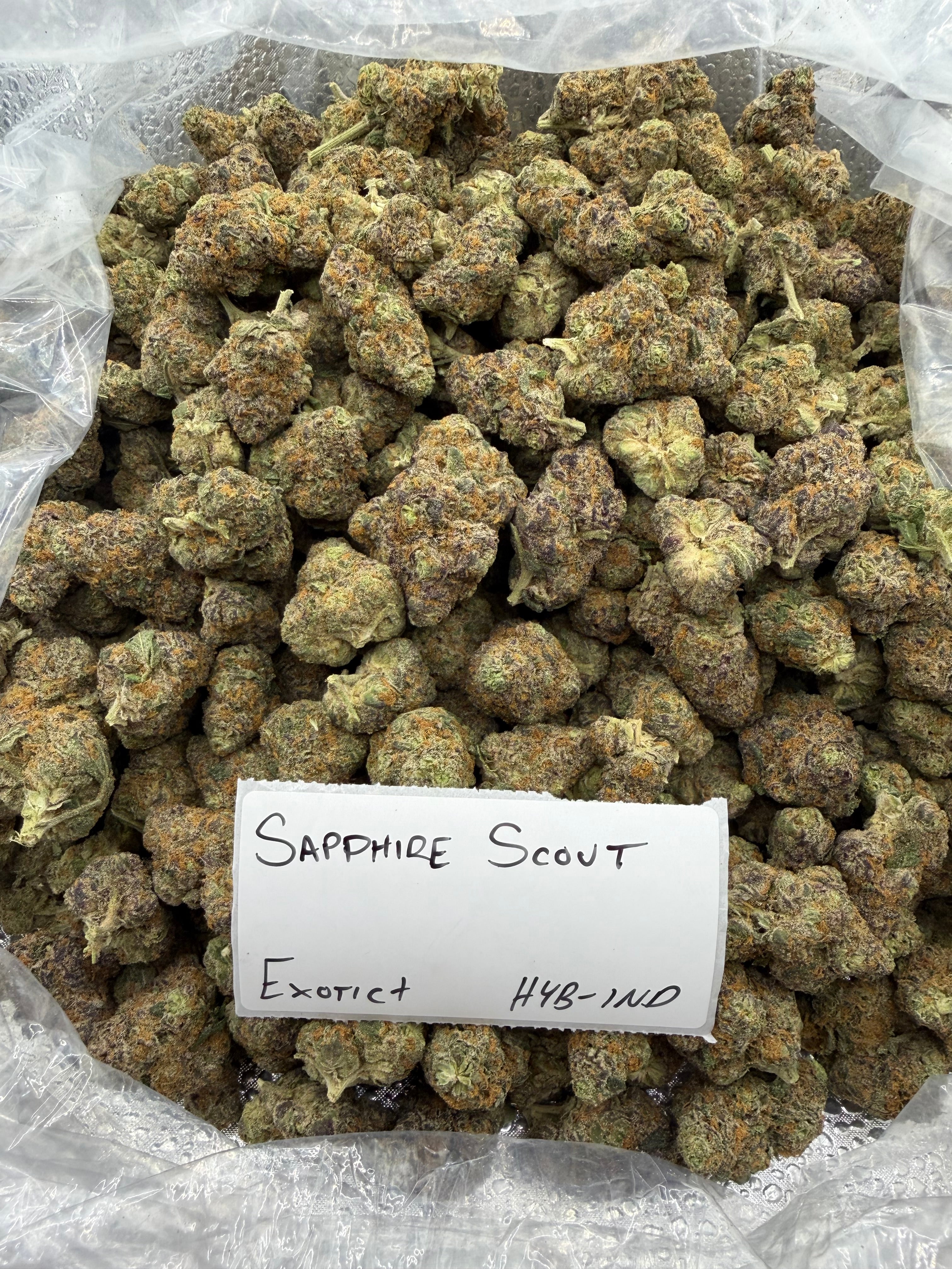 TOP SHELF EXOTICS