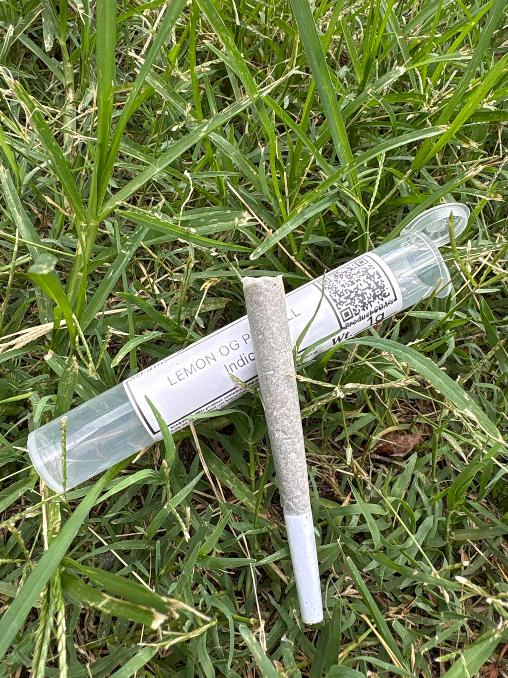 J Littys PreRolls