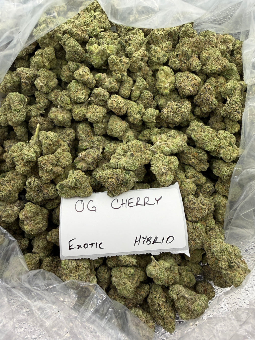 TOP SHELF EXOTICS