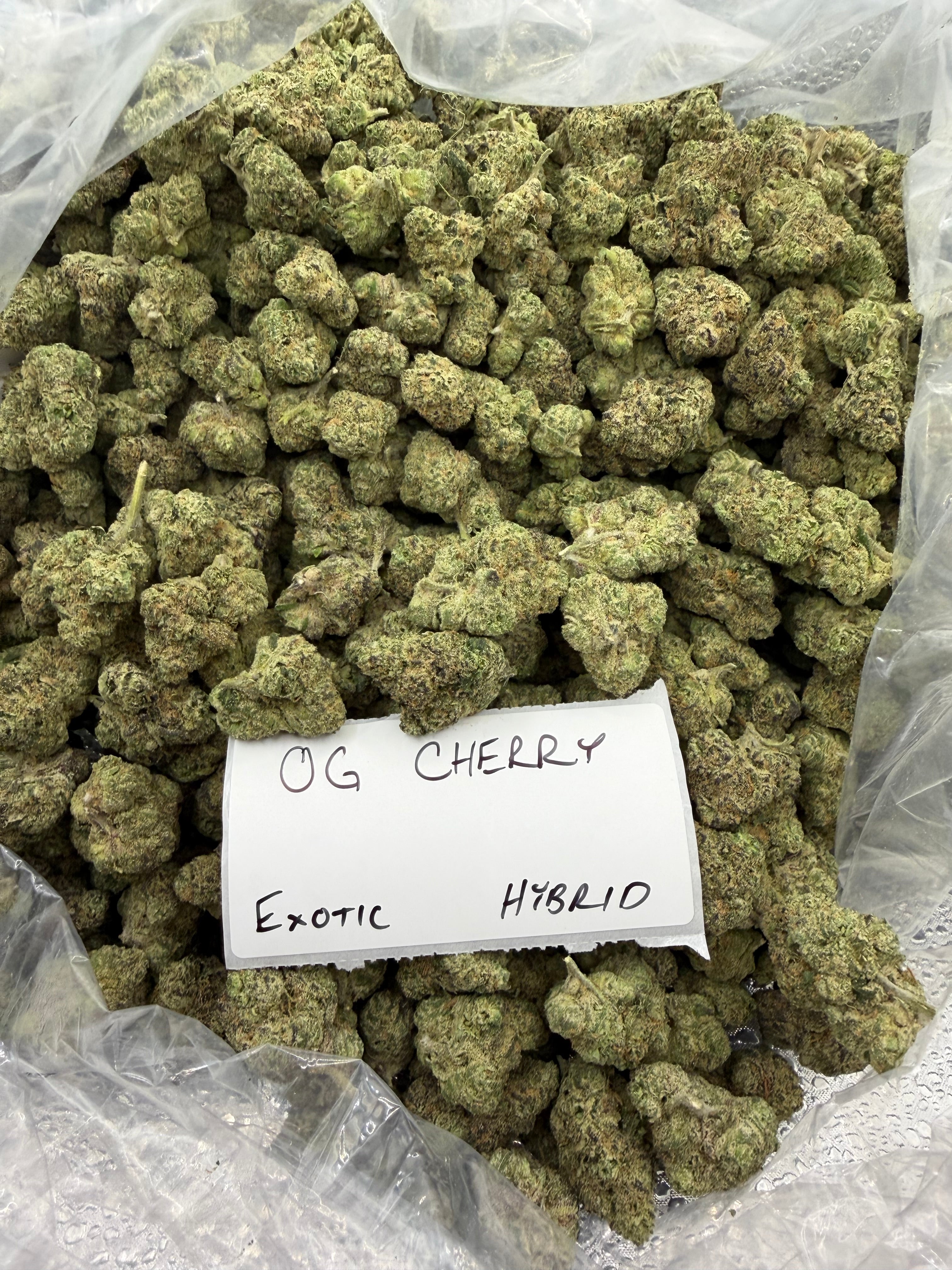 TOP SHELF EXOTICS