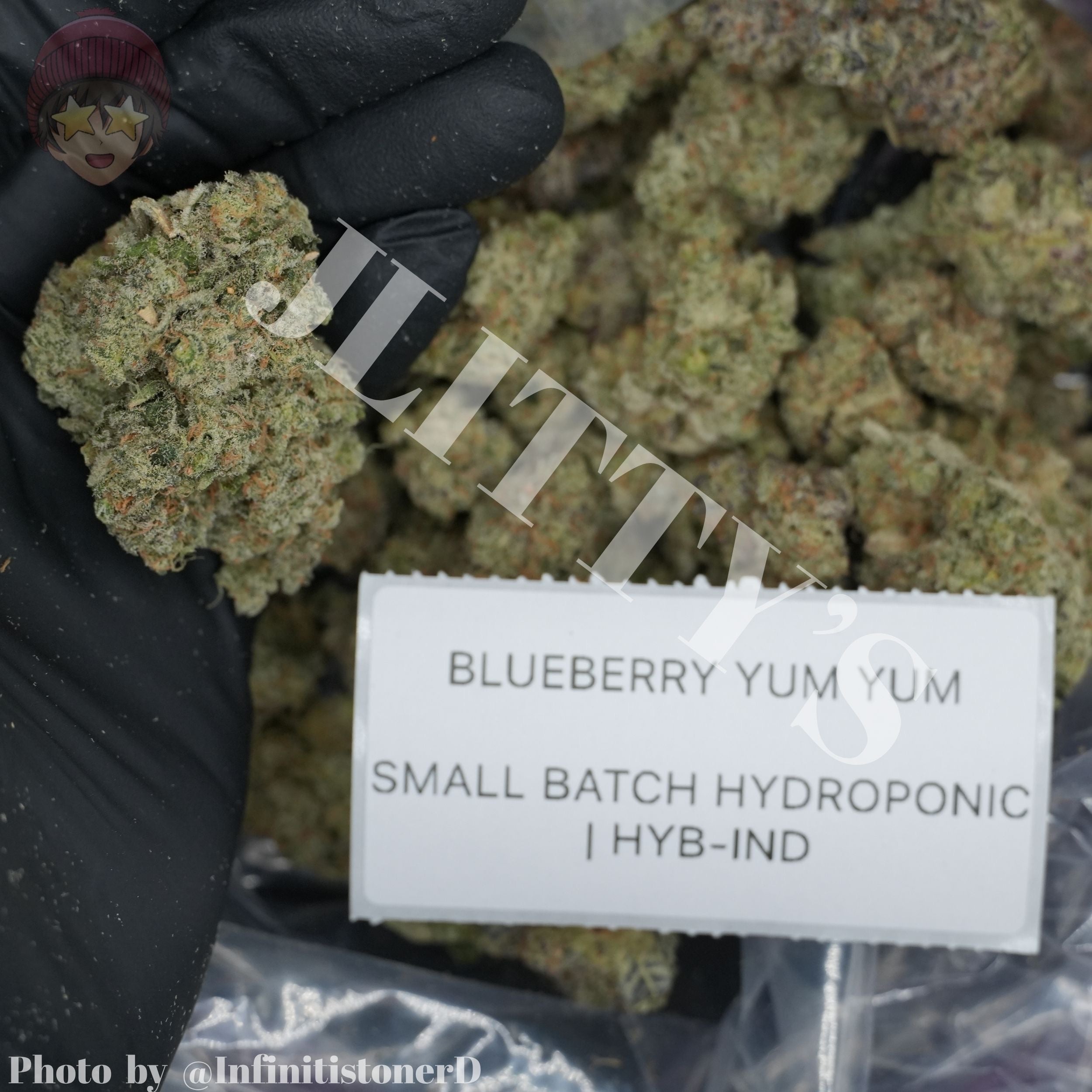 TOP SHELF EXOTICS