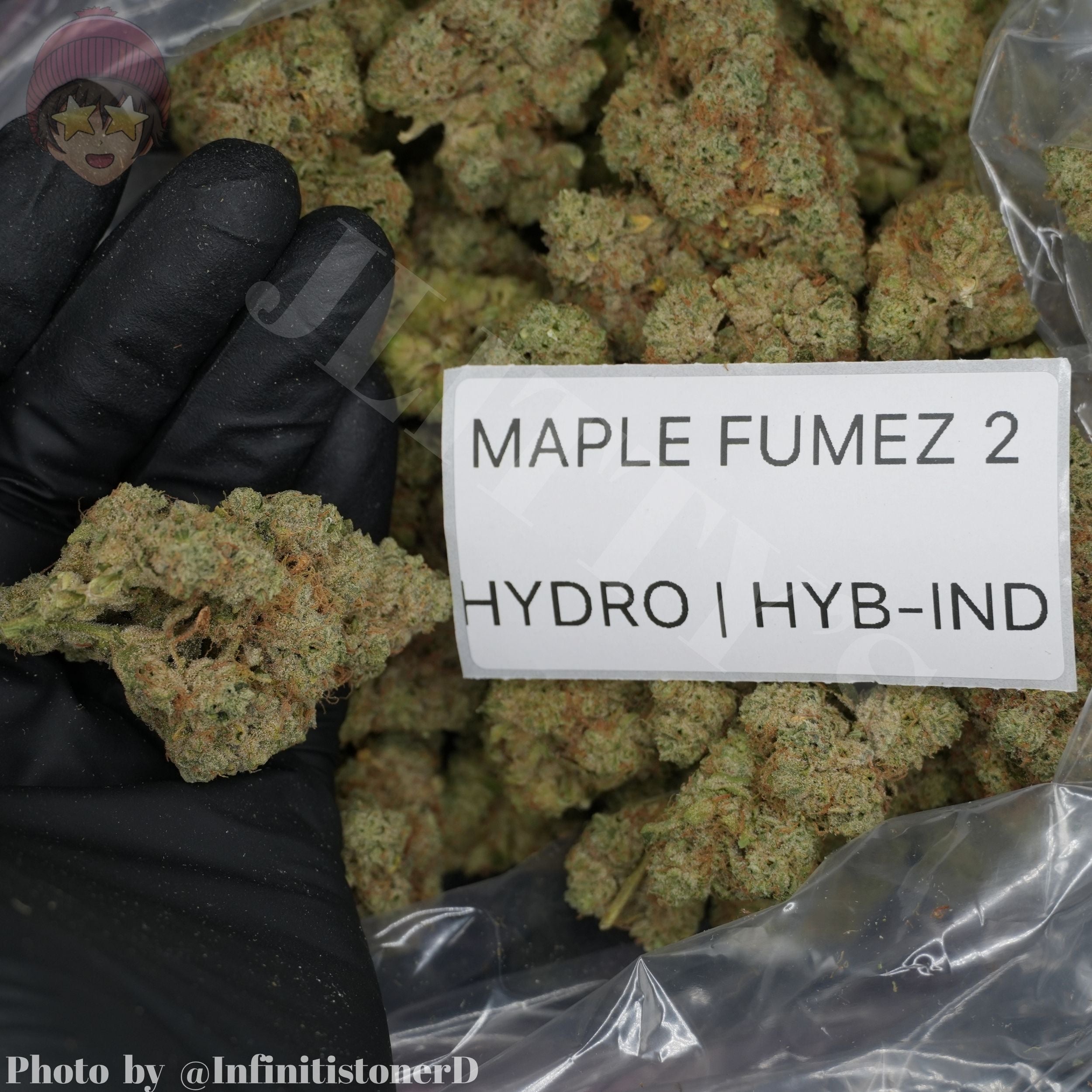 TOP SHELF EXOTICS
