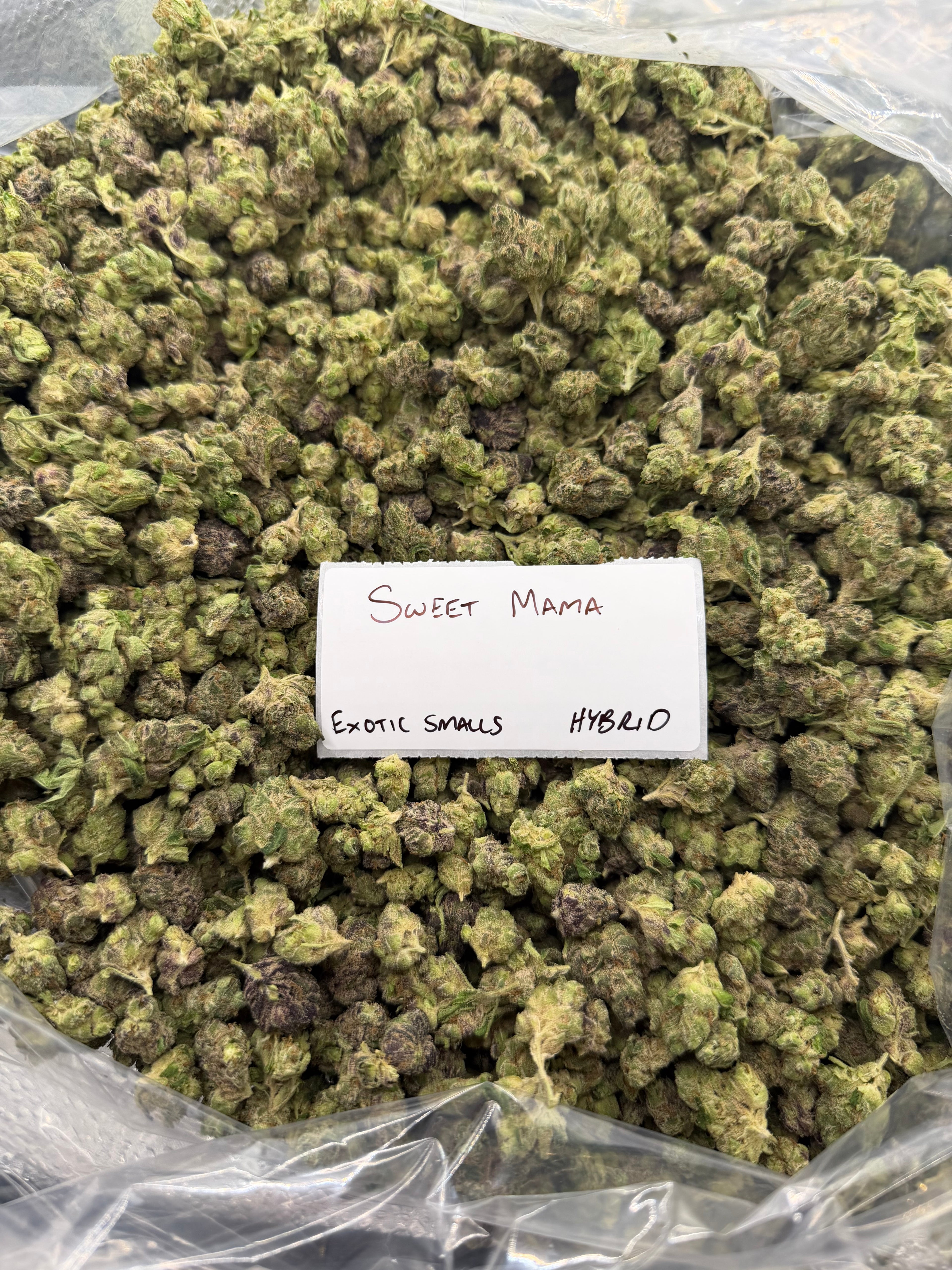 *SALE* SMALLS AND MEDIUMS (NO CODE NEEDED)