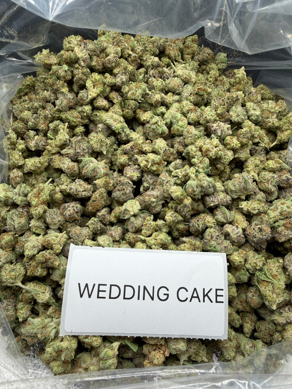 *SALE* SMALLS AND MEDIUMS