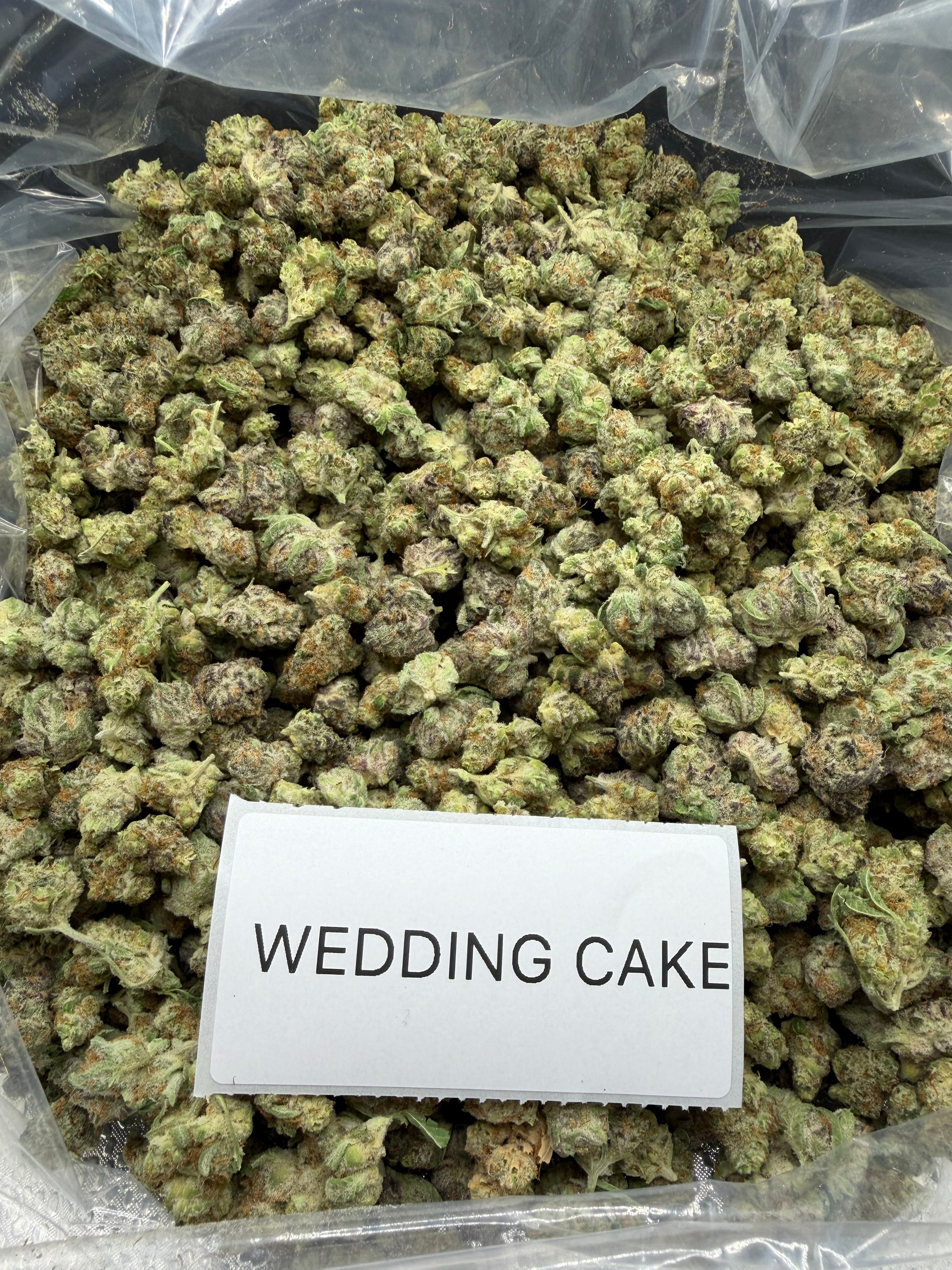 *SALE* SMALLS AND MEDIUMS