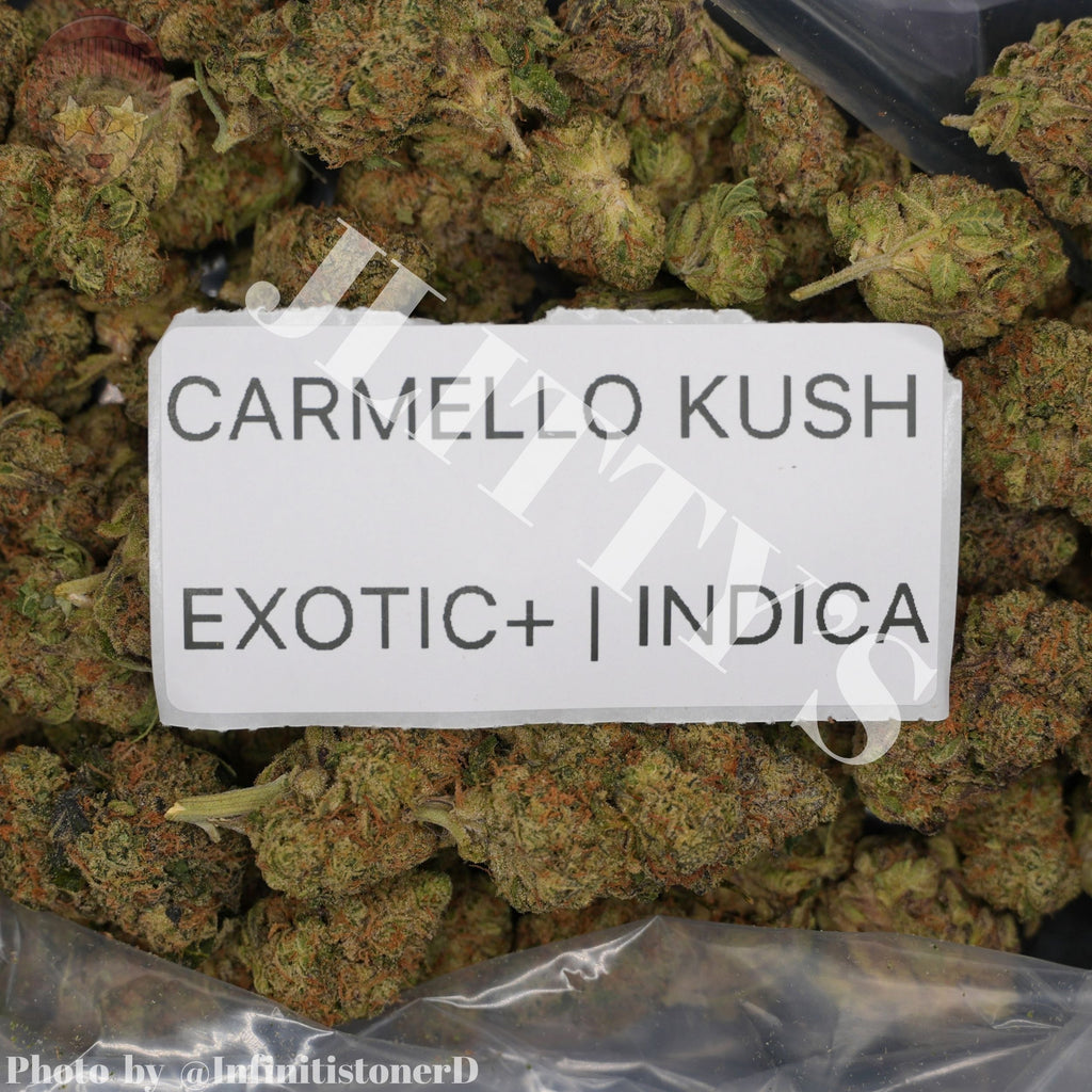 TOP SHELF EXOTICS