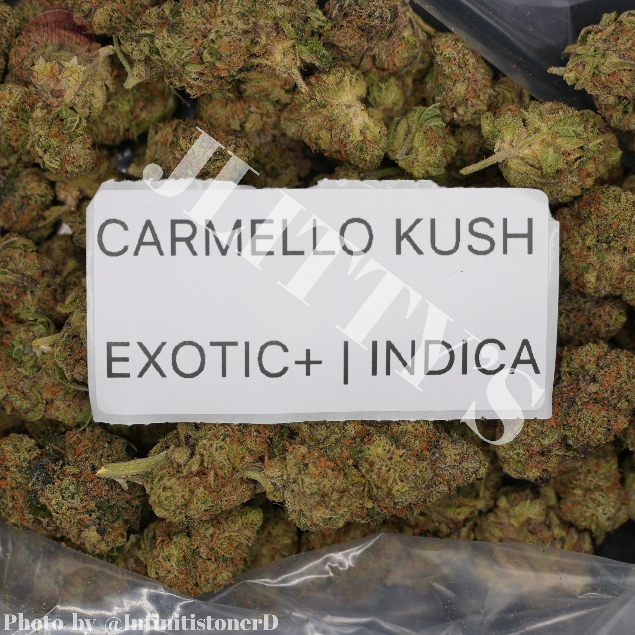 TOP SHELF EXOTICS