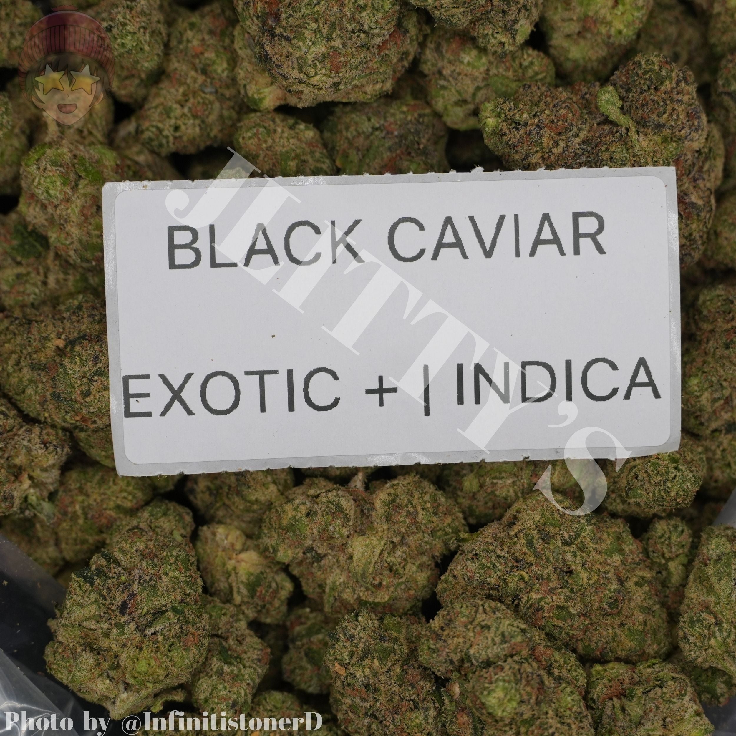 TOP SHELF EXOTICS