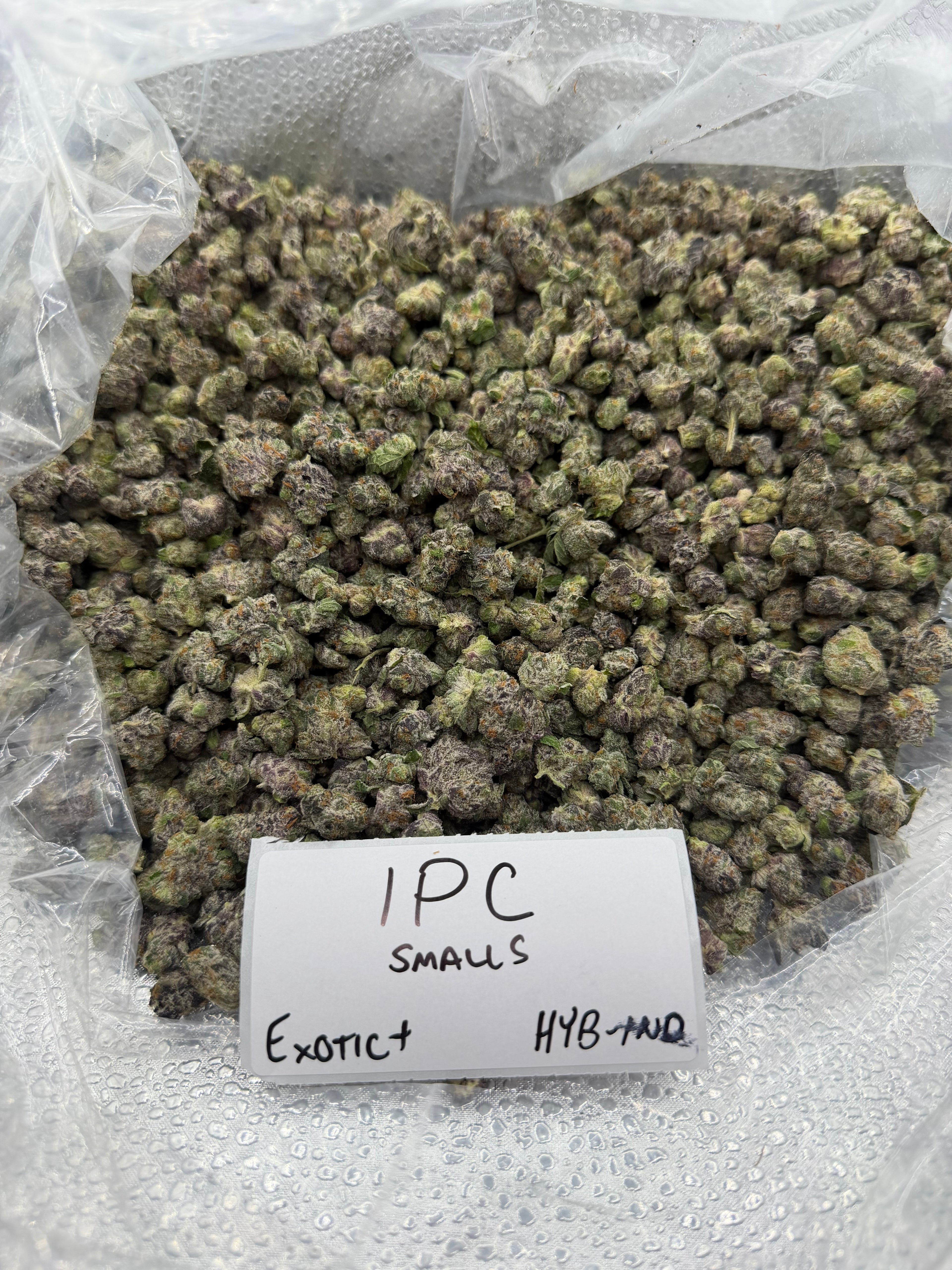 *SALE* SMALLS AND MEDIUMS (DISCOUNT CODES DO NOT APPLY)