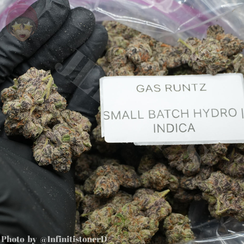 TOP SHELF EXOTICS