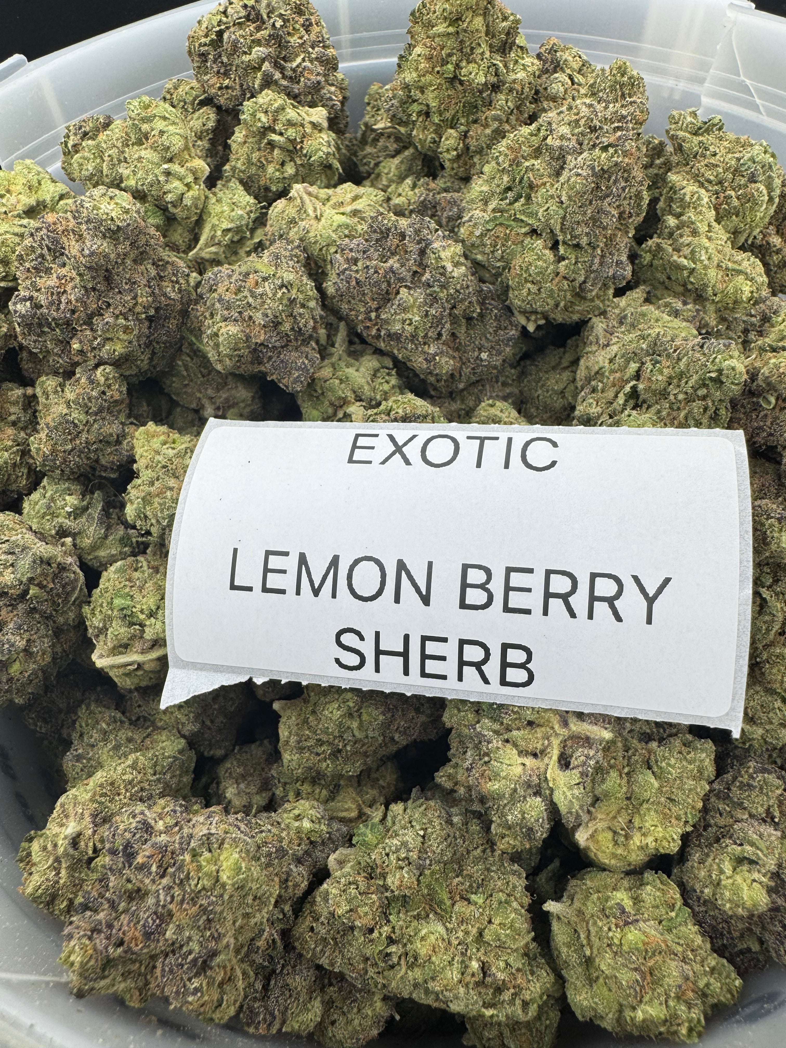EXOTIC FLOWERS