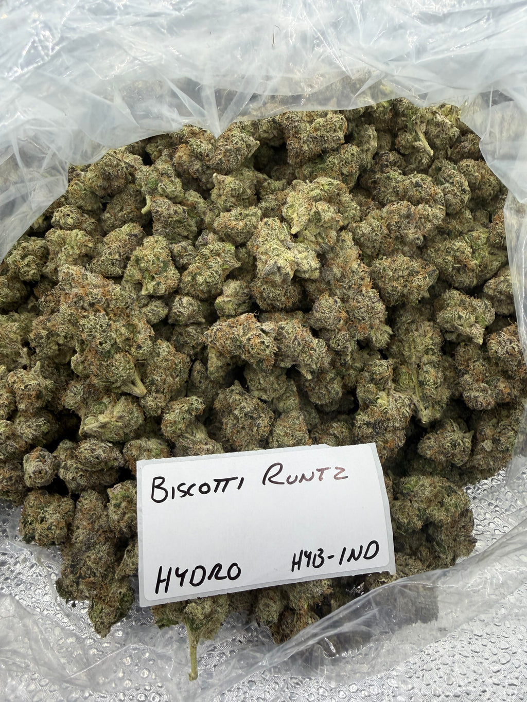 TOP SHELF EXOTICS