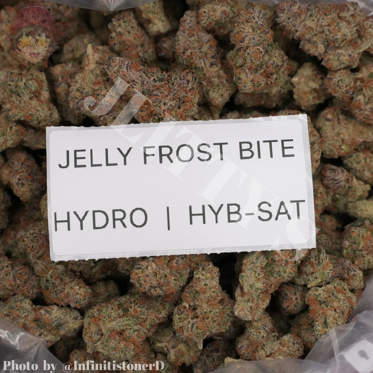 TOP SHELF EXOTICS