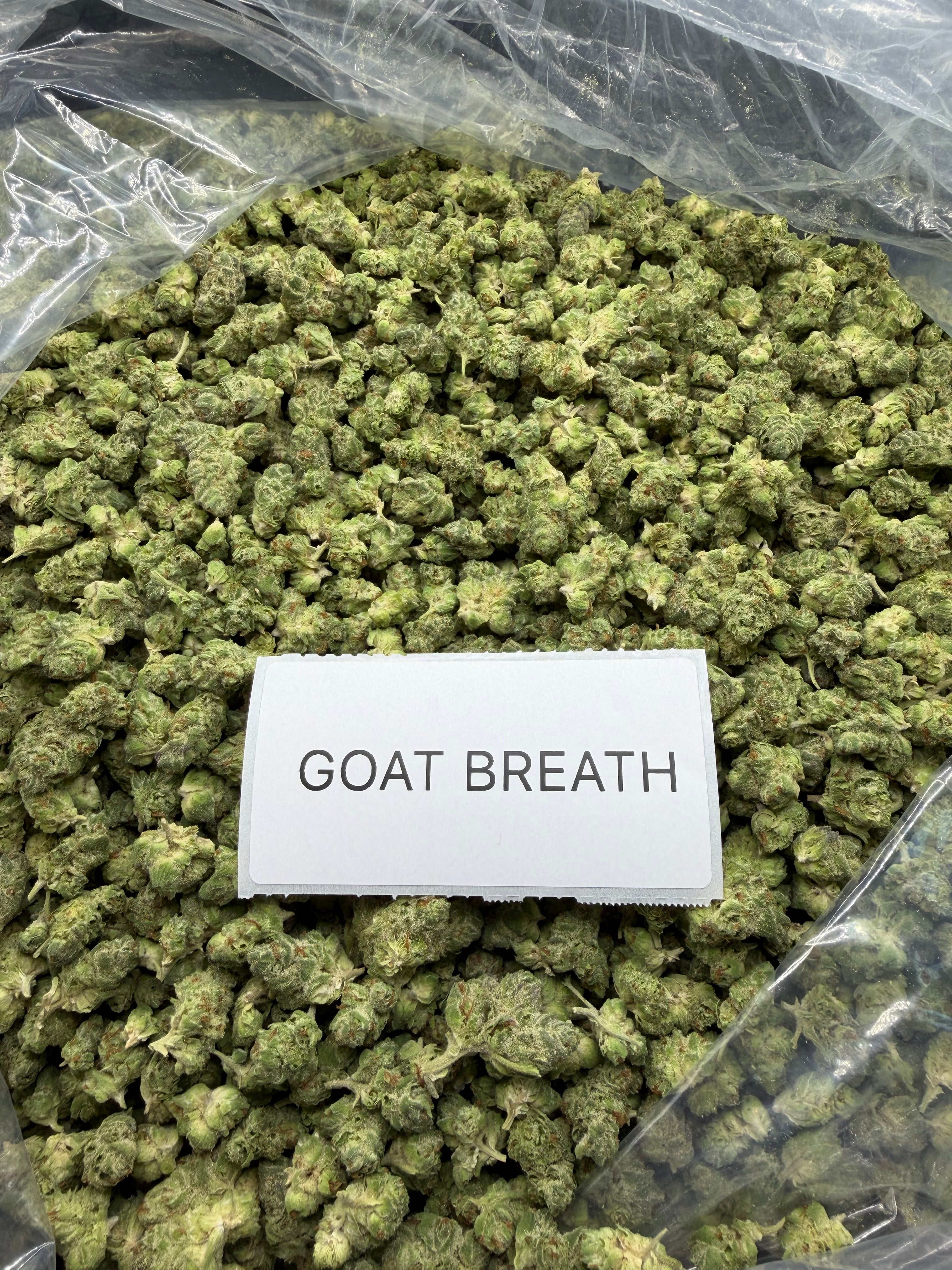 *SALE* SMALLS AND MEDIUMS