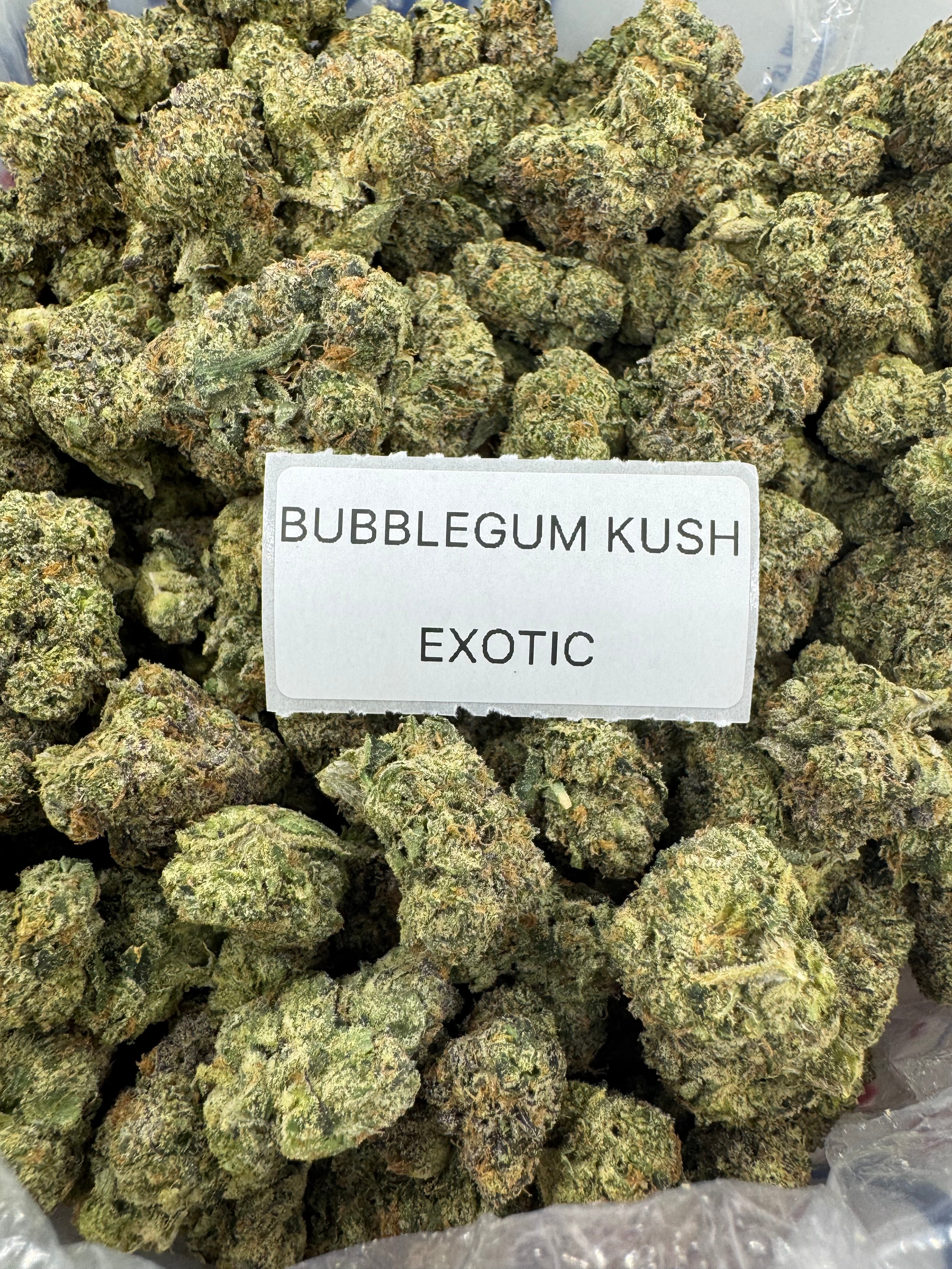 TOP SHELF EXOTICS