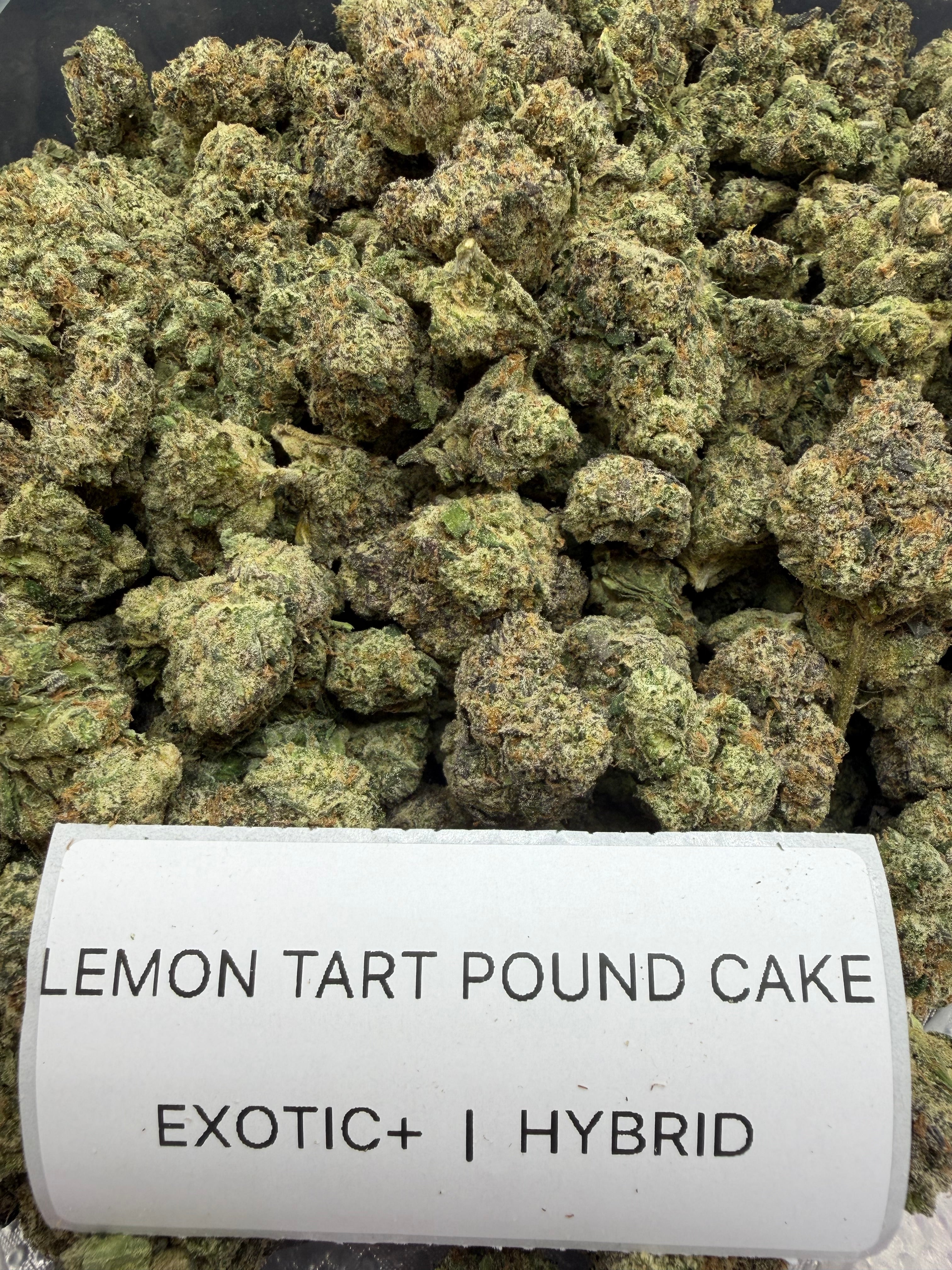 TOP SHELF EXOTICS