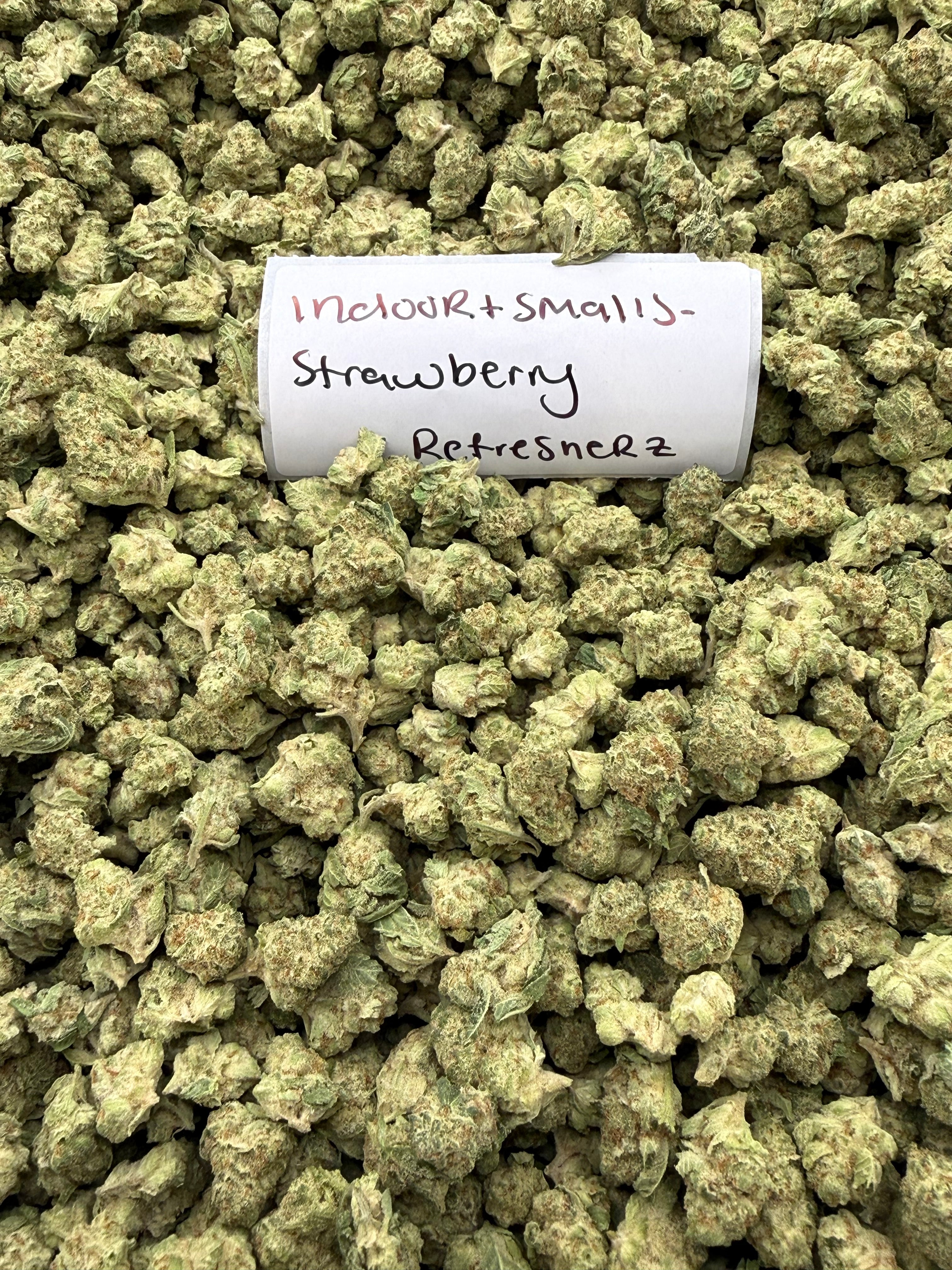 *SALE* SMALLS AND MEDIUMS (NO CODE NEEDED)