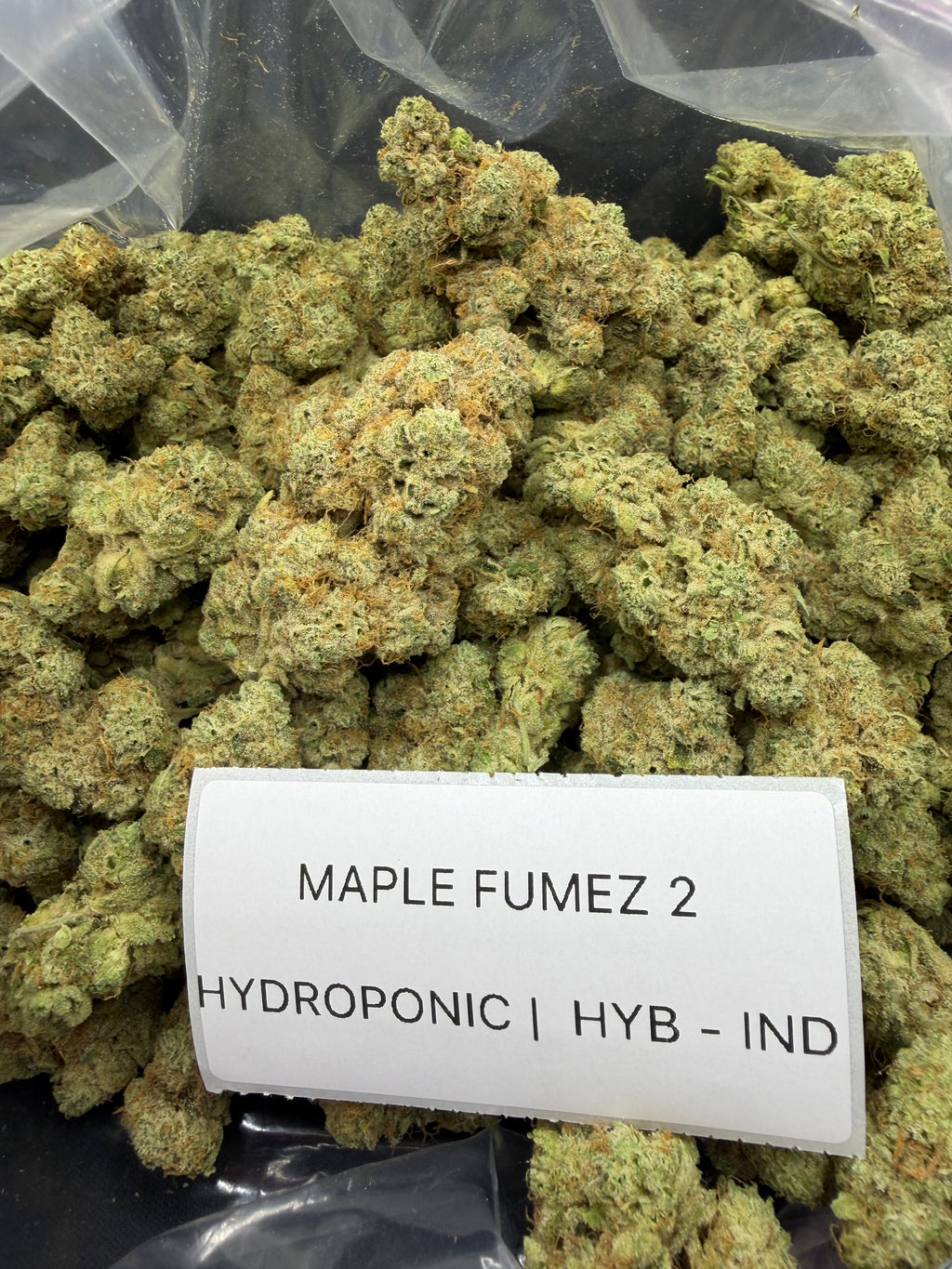TOP SHELF EXOTICS