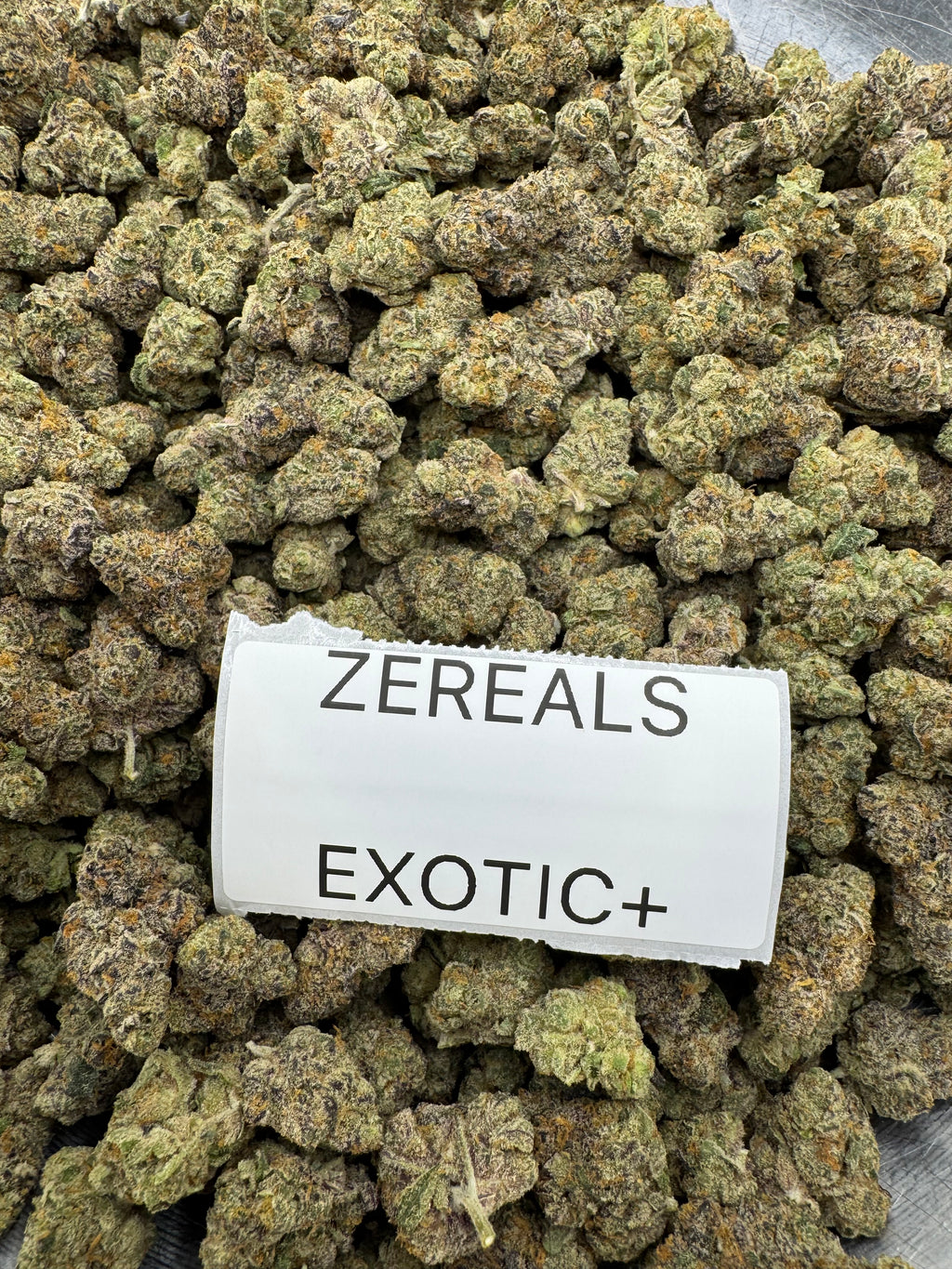TOP SHELF EXOTICS