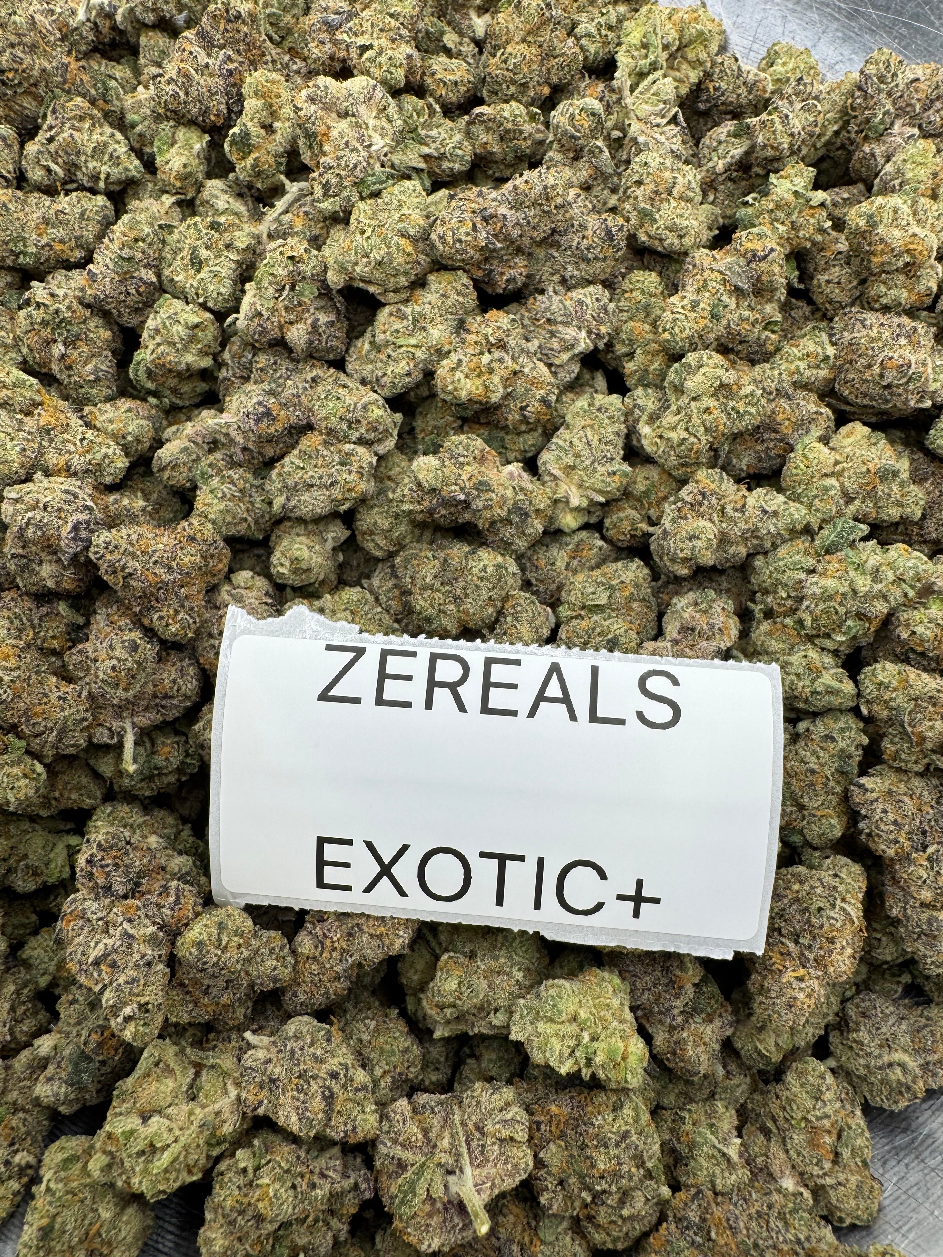TOP SHELF EXOTICS