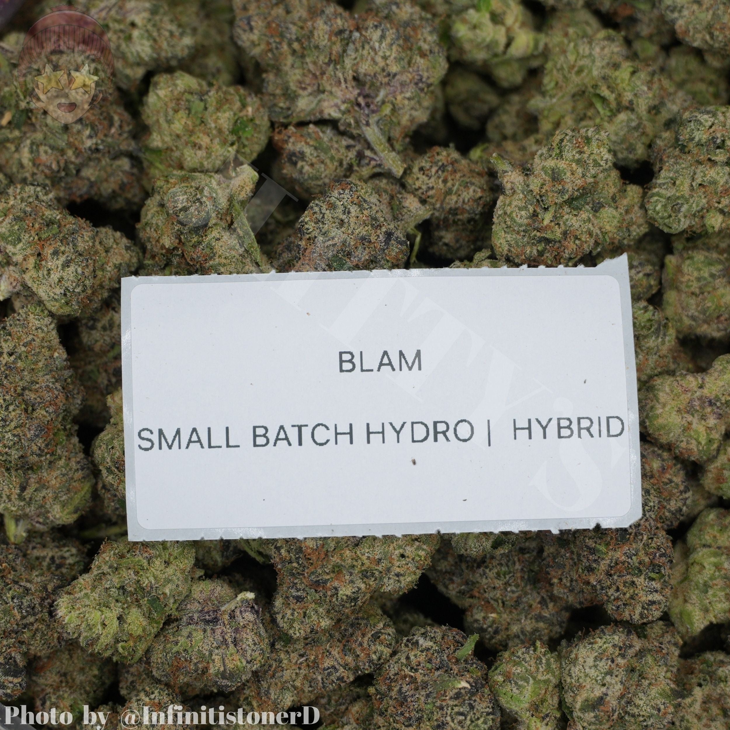 TOP SHELF EXOTICS