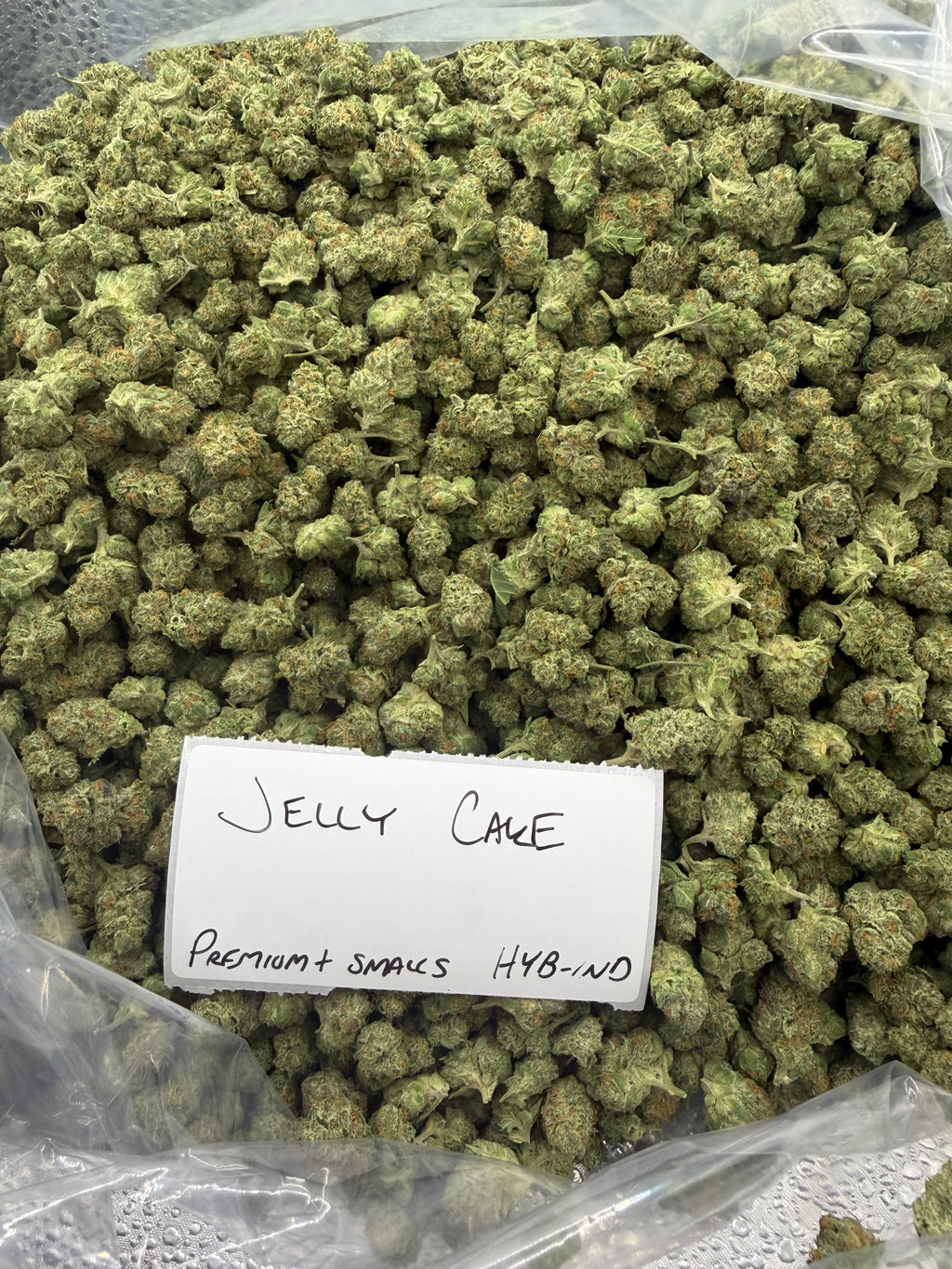 *SALE* SMALLS AND MEDIUMS (NO CODE NEEDED)