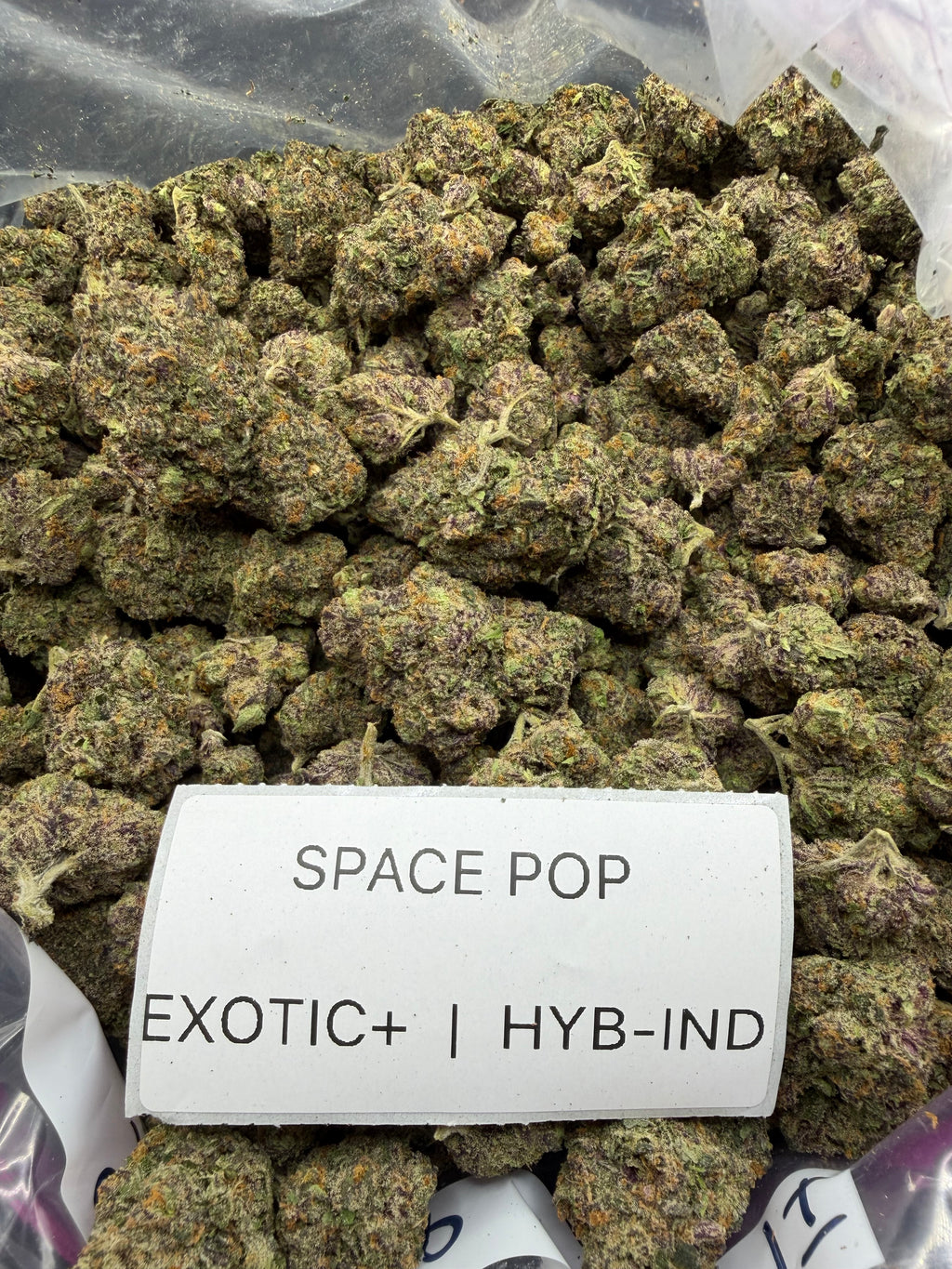 TOP SHELF EXOTICS