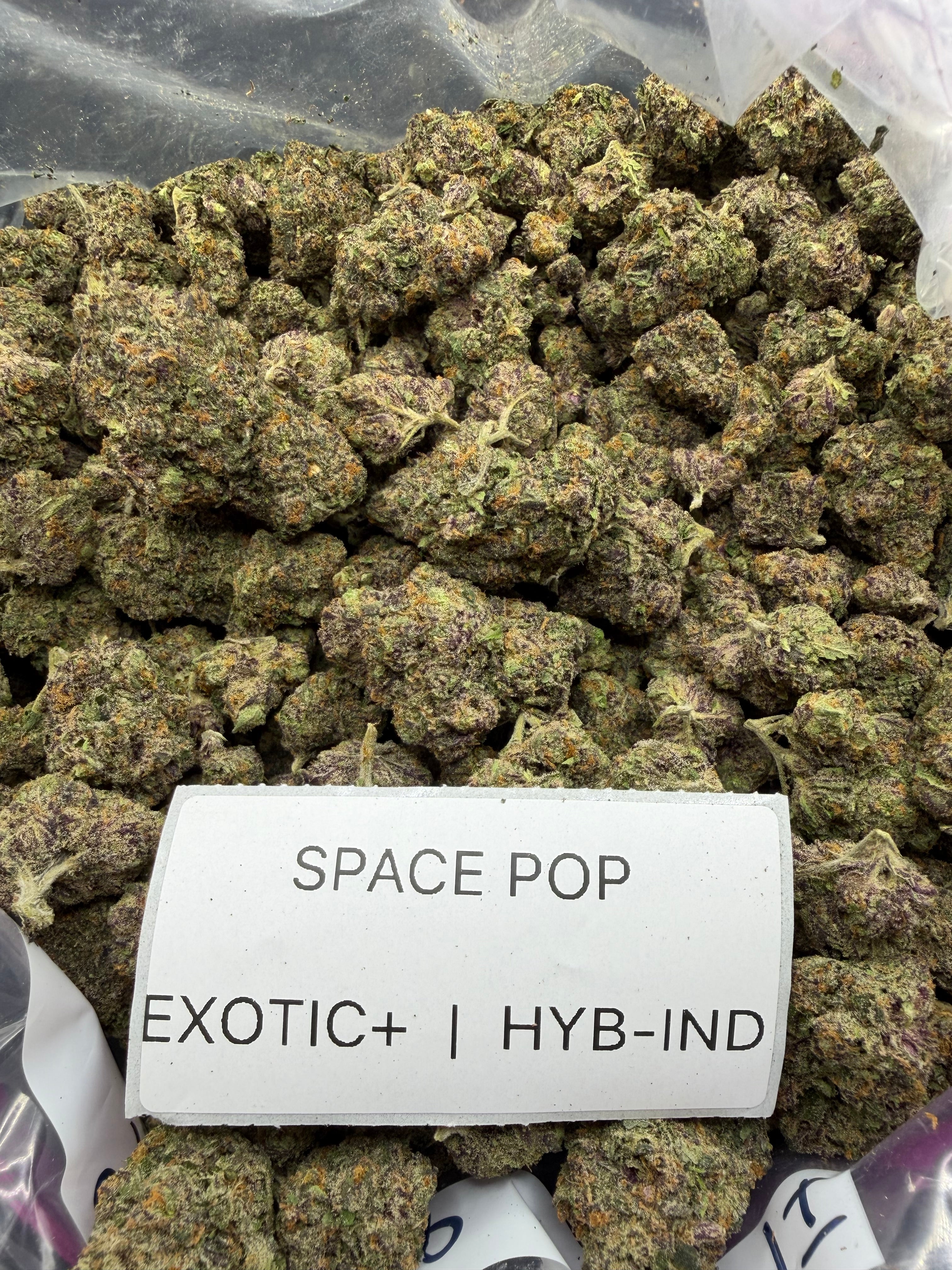 TOP SHELF EXOTICS