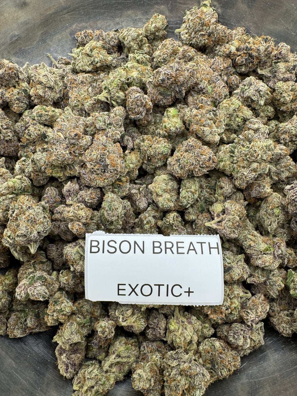 TOP SHELF EXOTICS