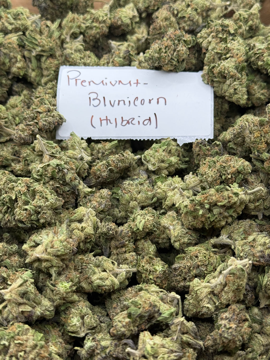 J Litty’s Weekly Deals!