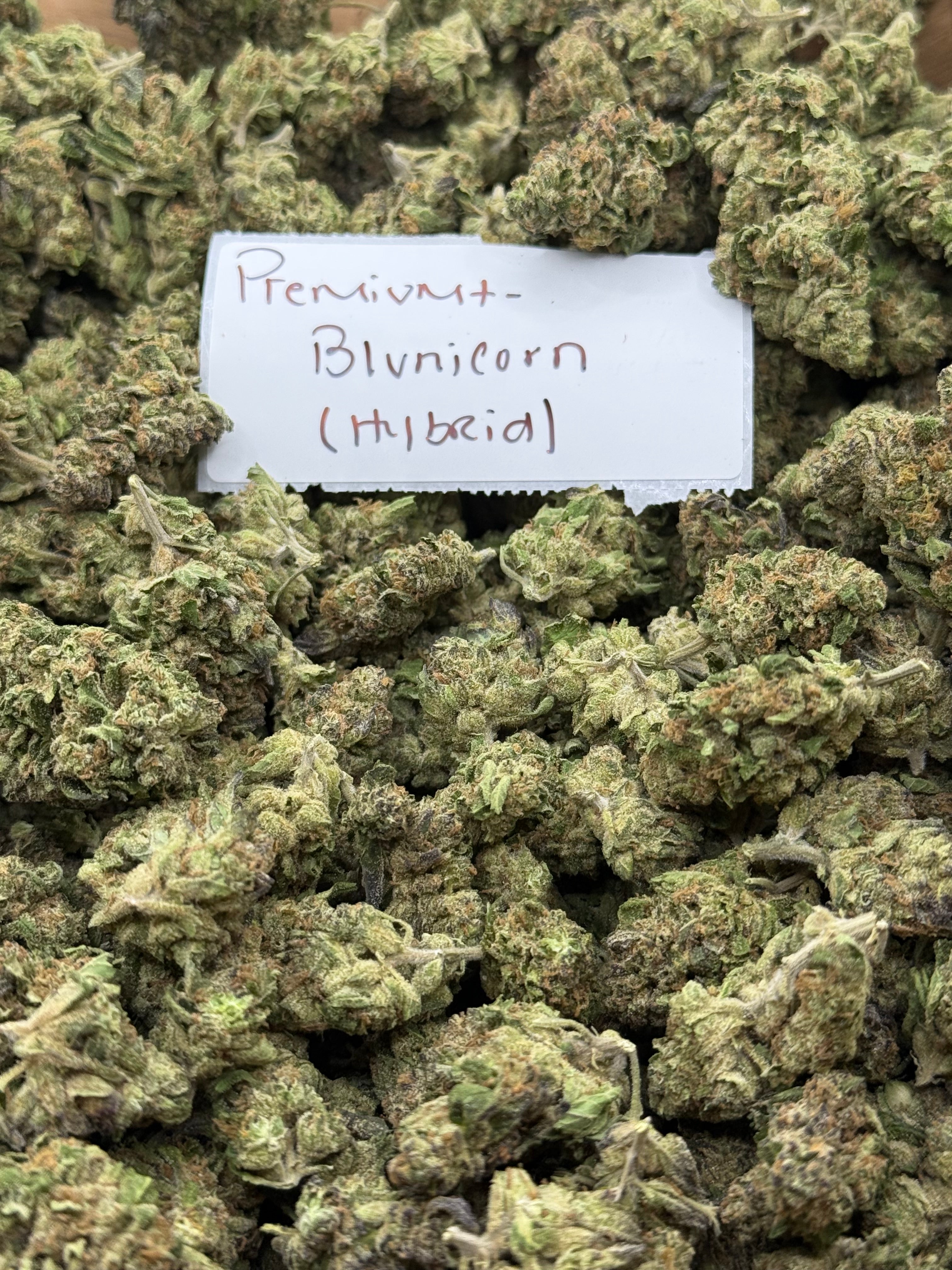 J Litty’s Weekly Deals!