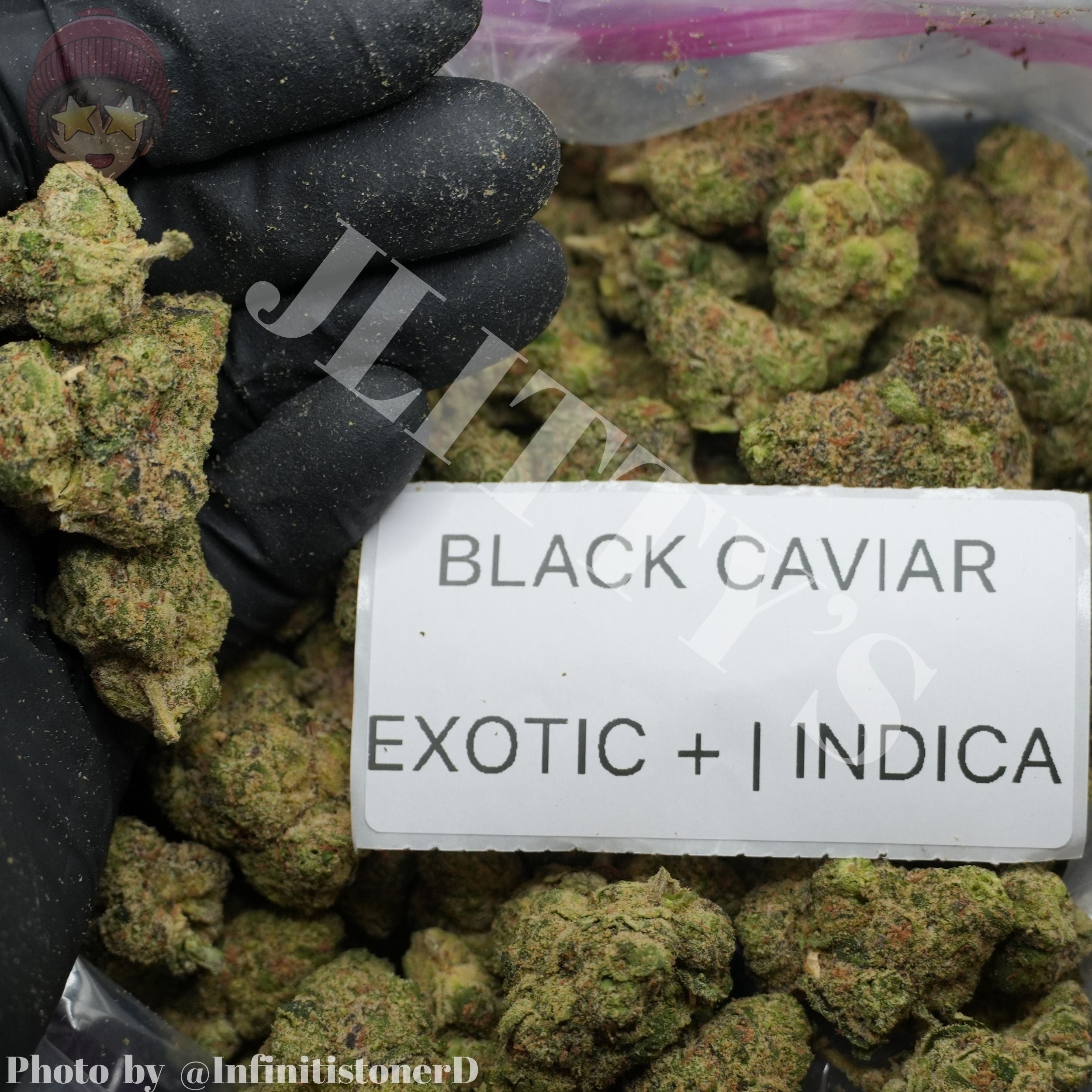 TOP SHELF EXOTICS