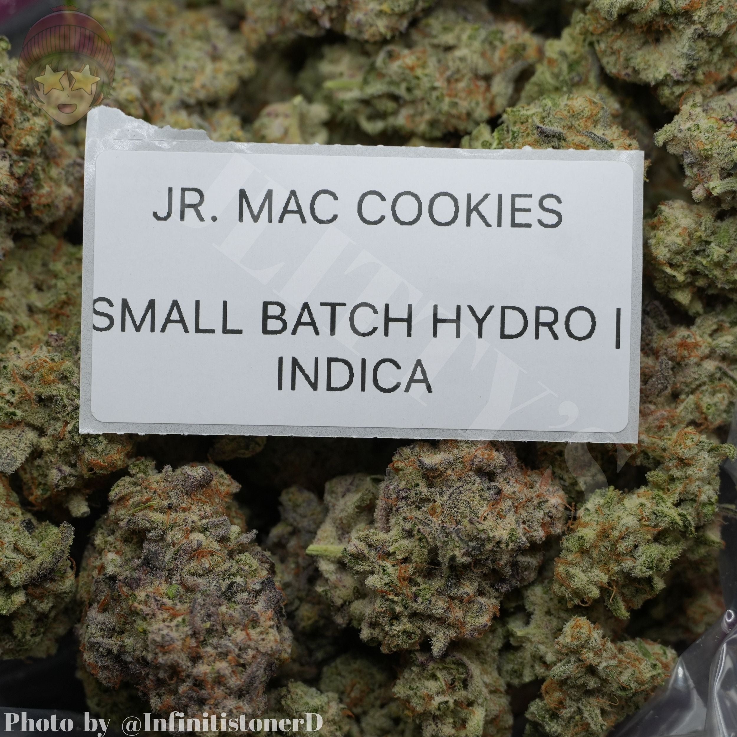 TOP SHELF EXOTICS