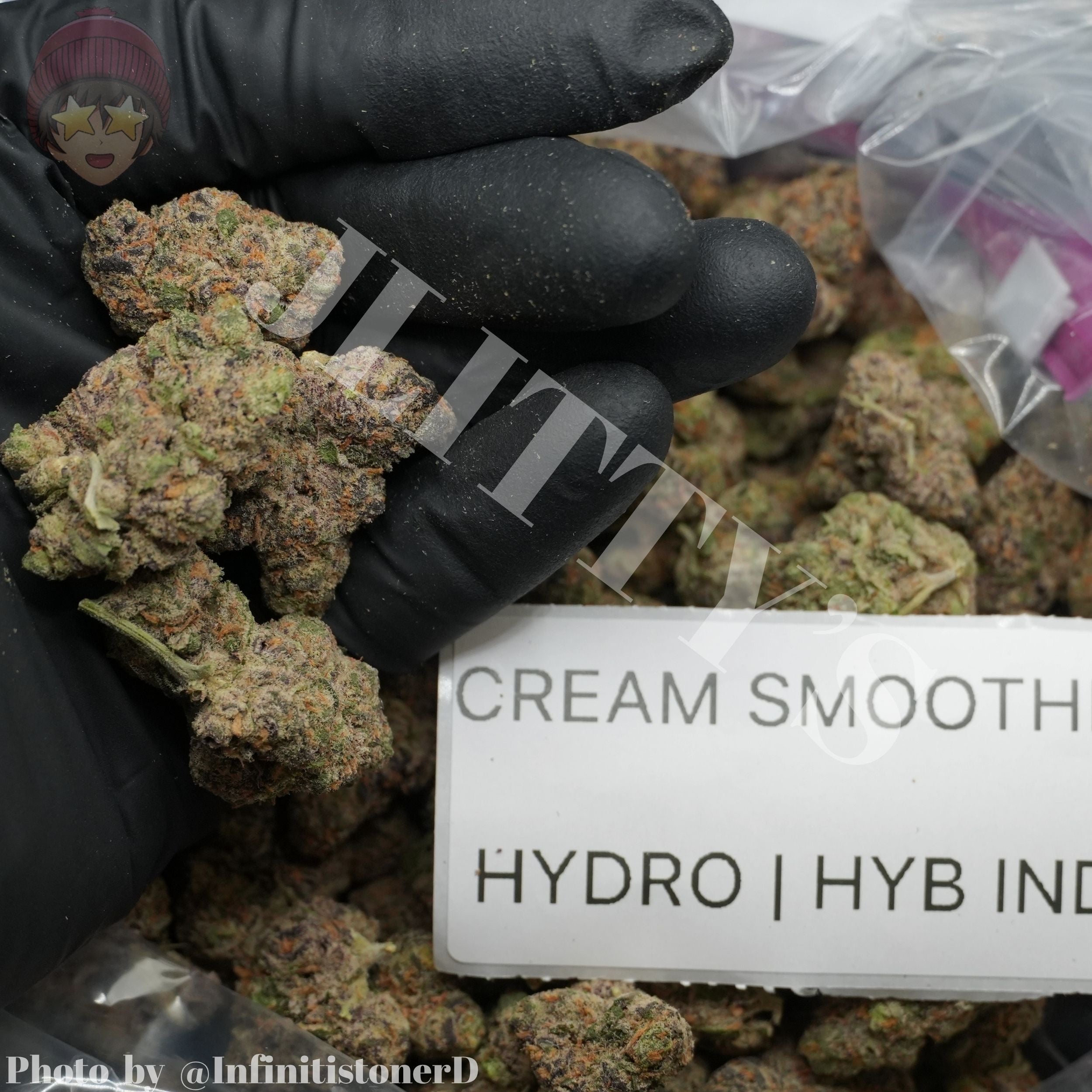 TOP SHELF EXOTICS