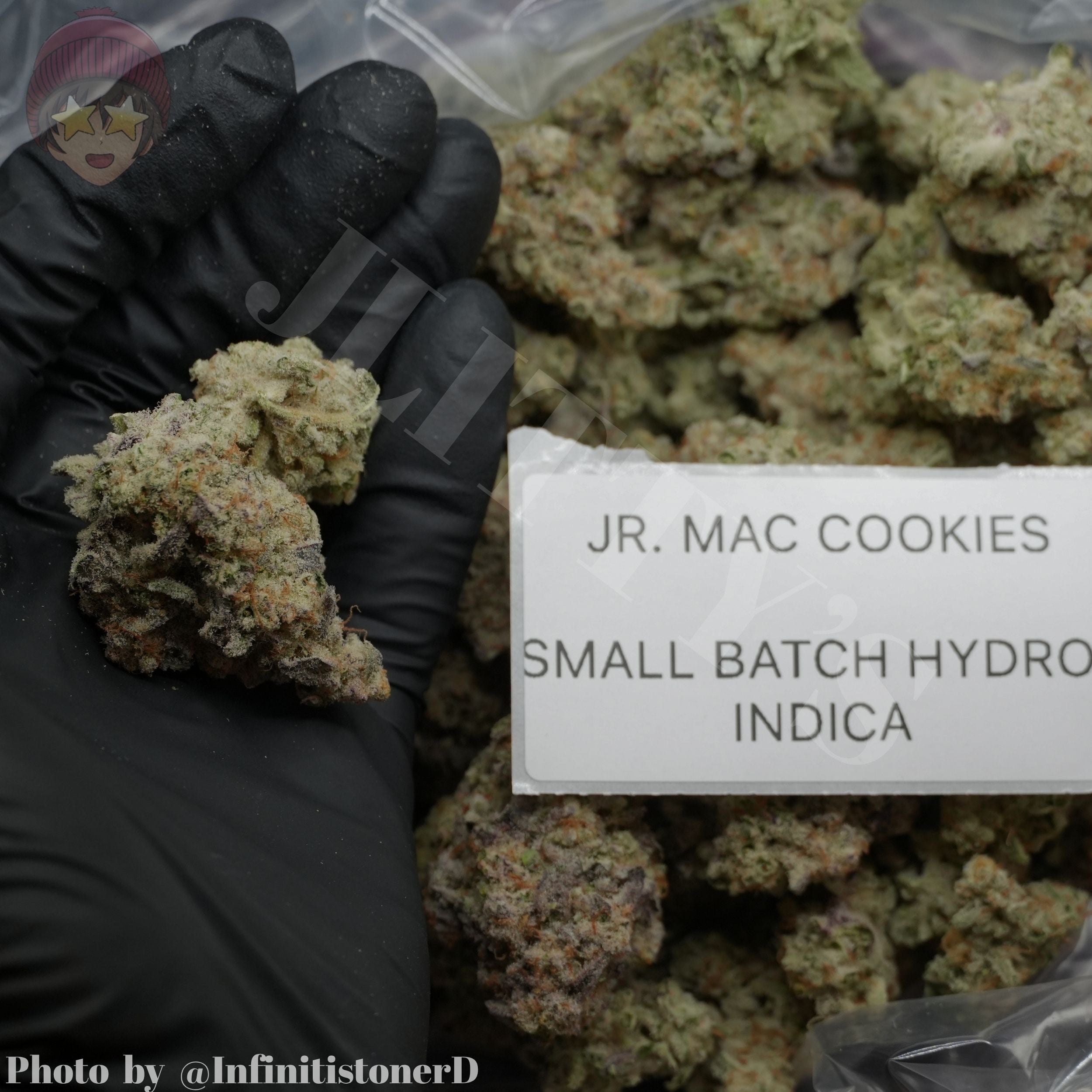 TOP SHELF EXOTICS